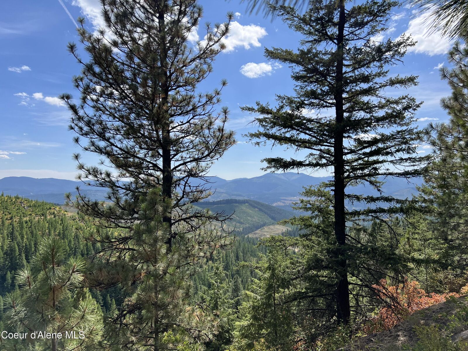 Property Photo:  1425 Upriver View Dr  ID 83830 