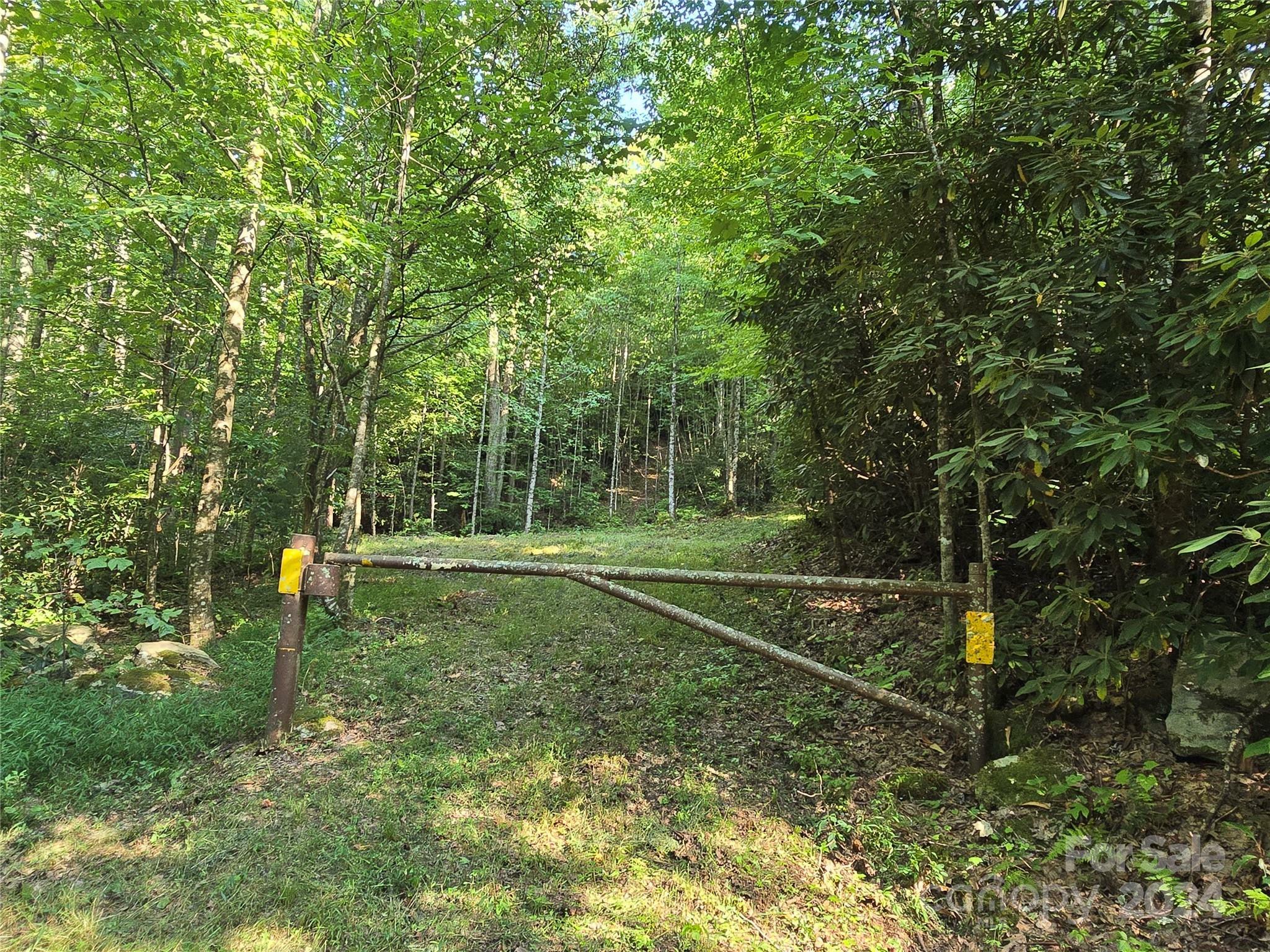 Property Photo:  Tbd Doe Branch Road  NC 28753 