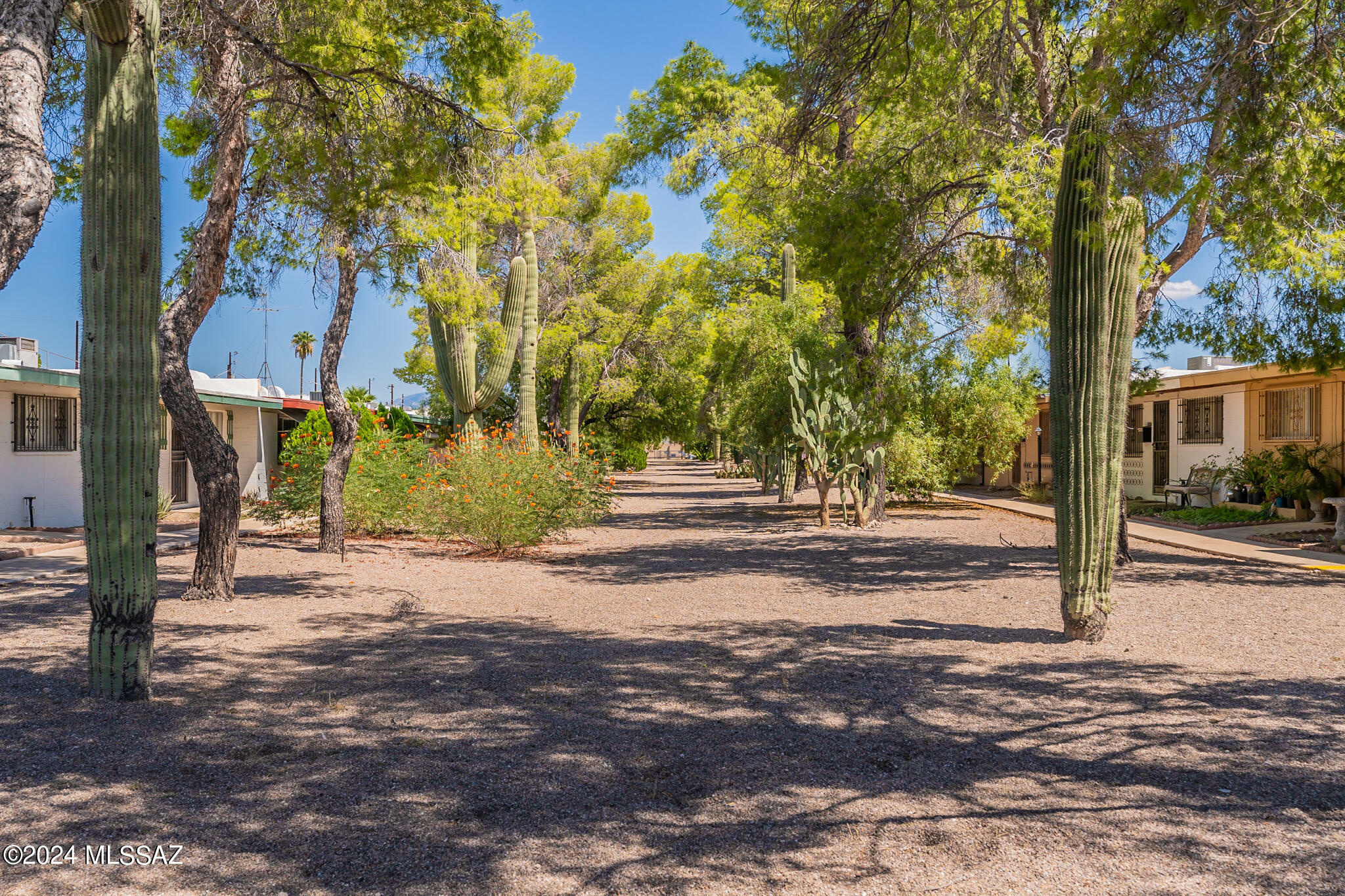 Property Photo:  5003 S Cherry Avenue  AZ 85706 