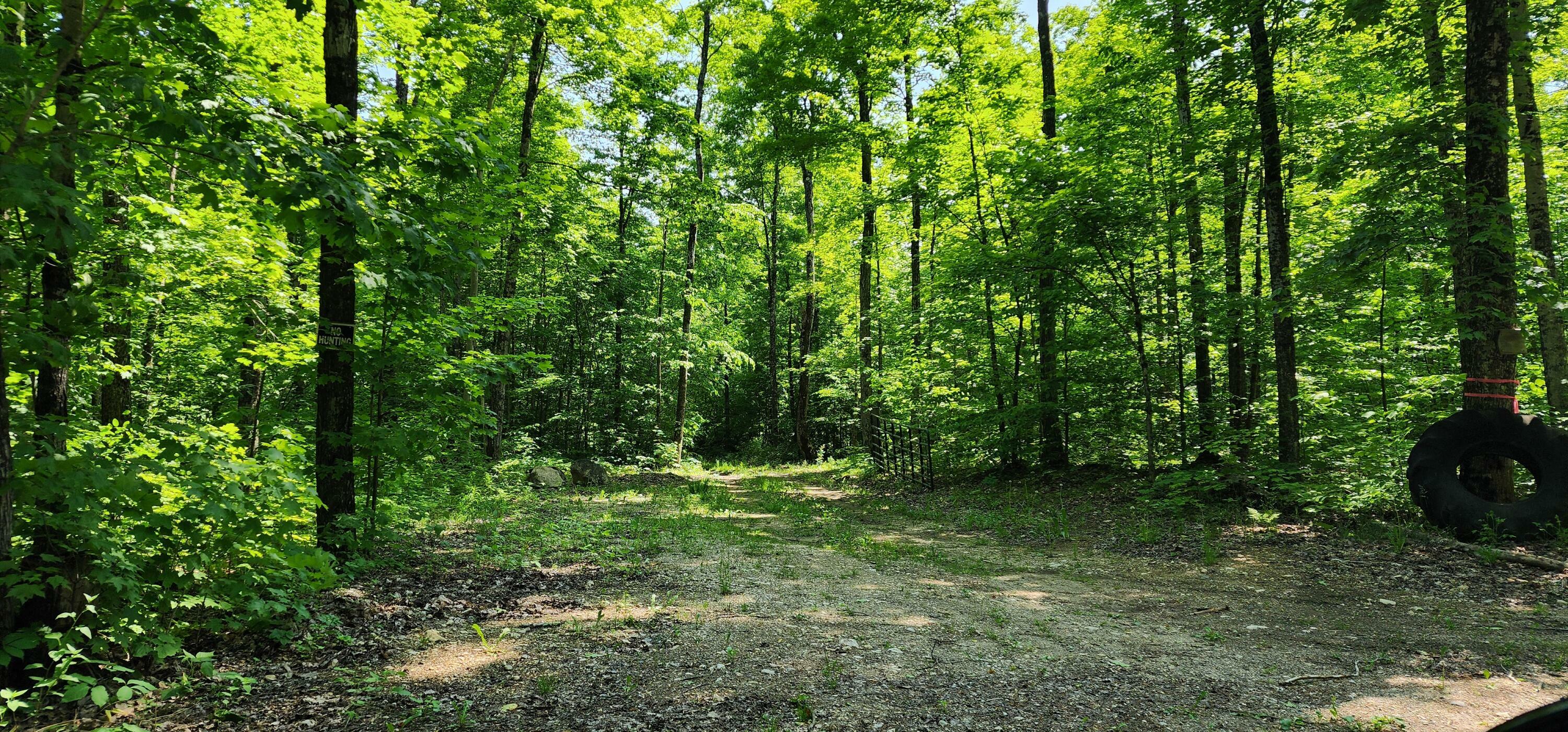 Property Photo: 3625 E Simmons Rd MI 49745