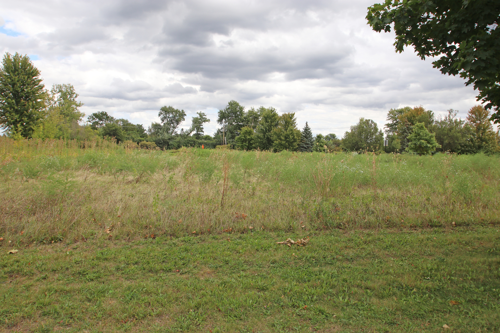 Property Photo: 11 Executive Drive IL 60047