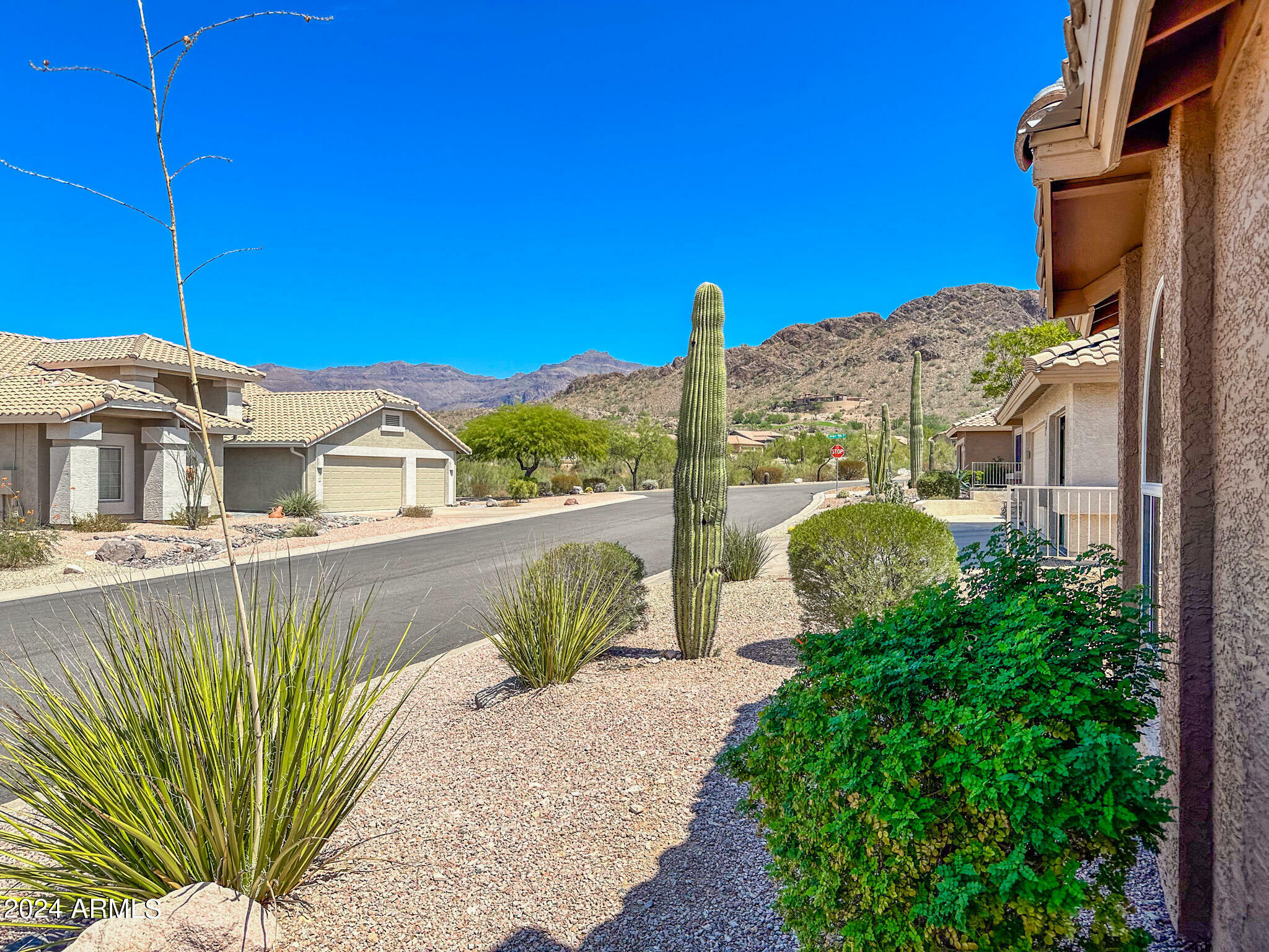 Property Photo:  8815 E Golden Cholla Drive  AZ 85118 