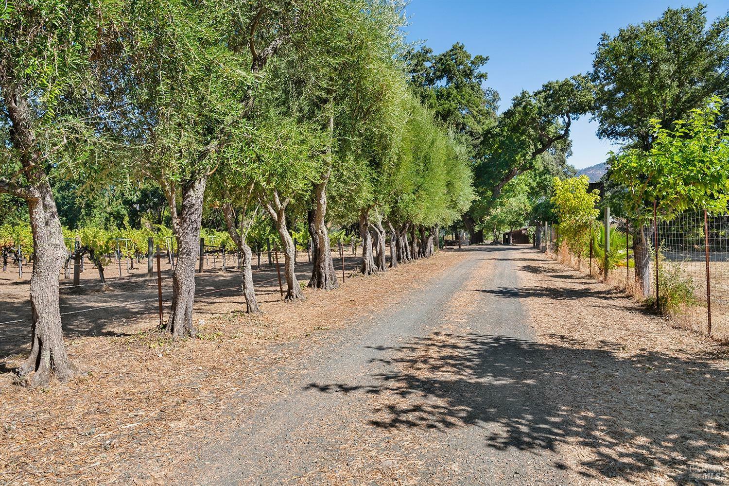 Property Photo: 4104 Saint Helena Highway CA 94515