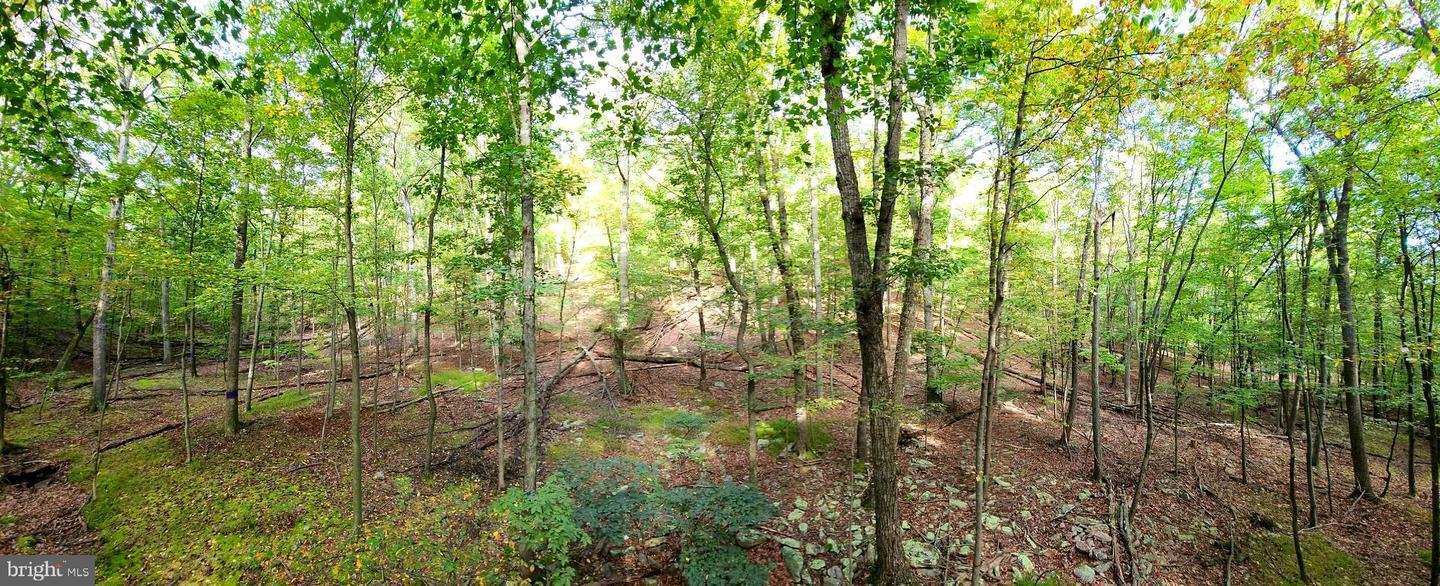 Property Photo:  1359 Lodge Road  WV 25427 