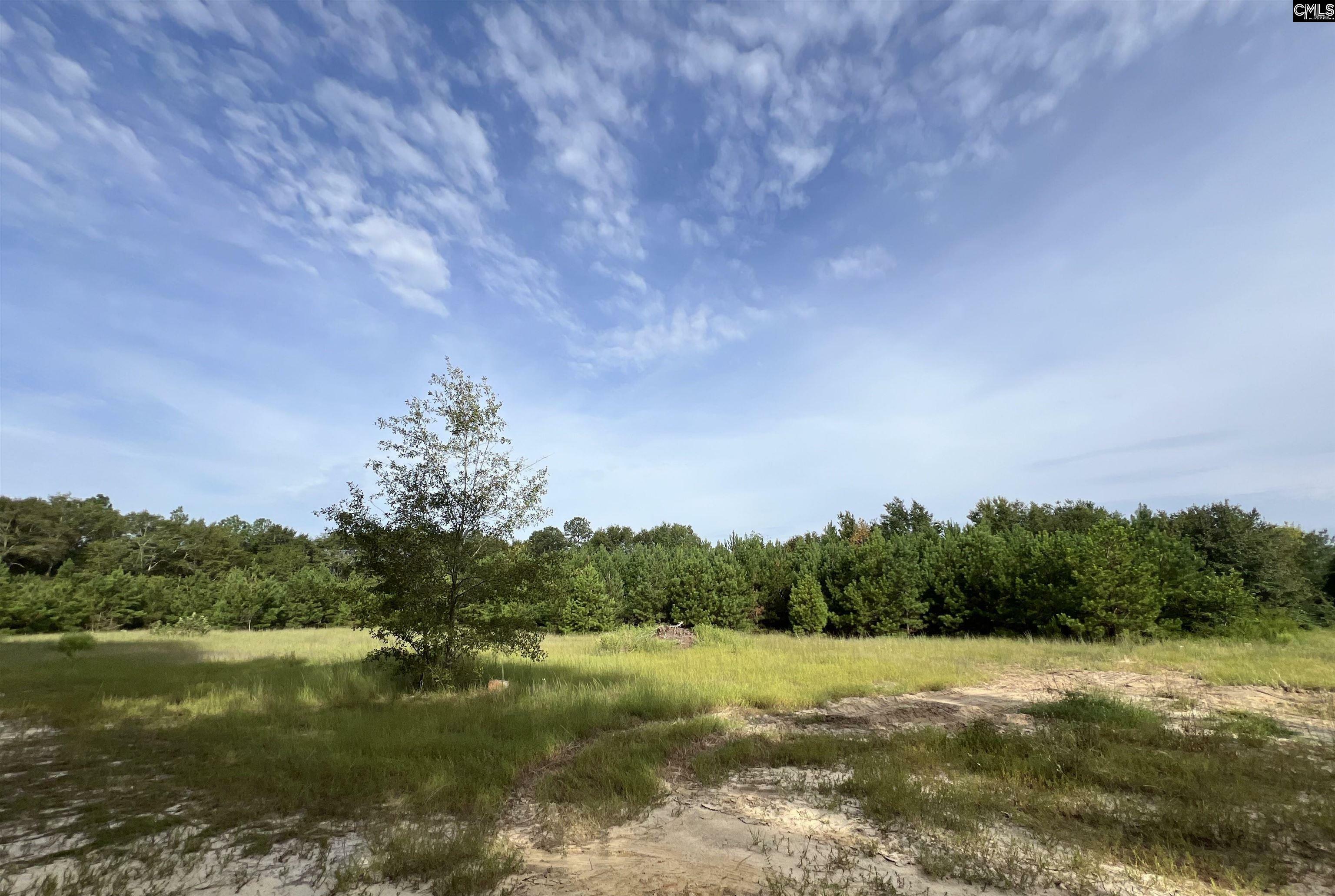 Property Photo:  0 Wise Field  SC 29073 