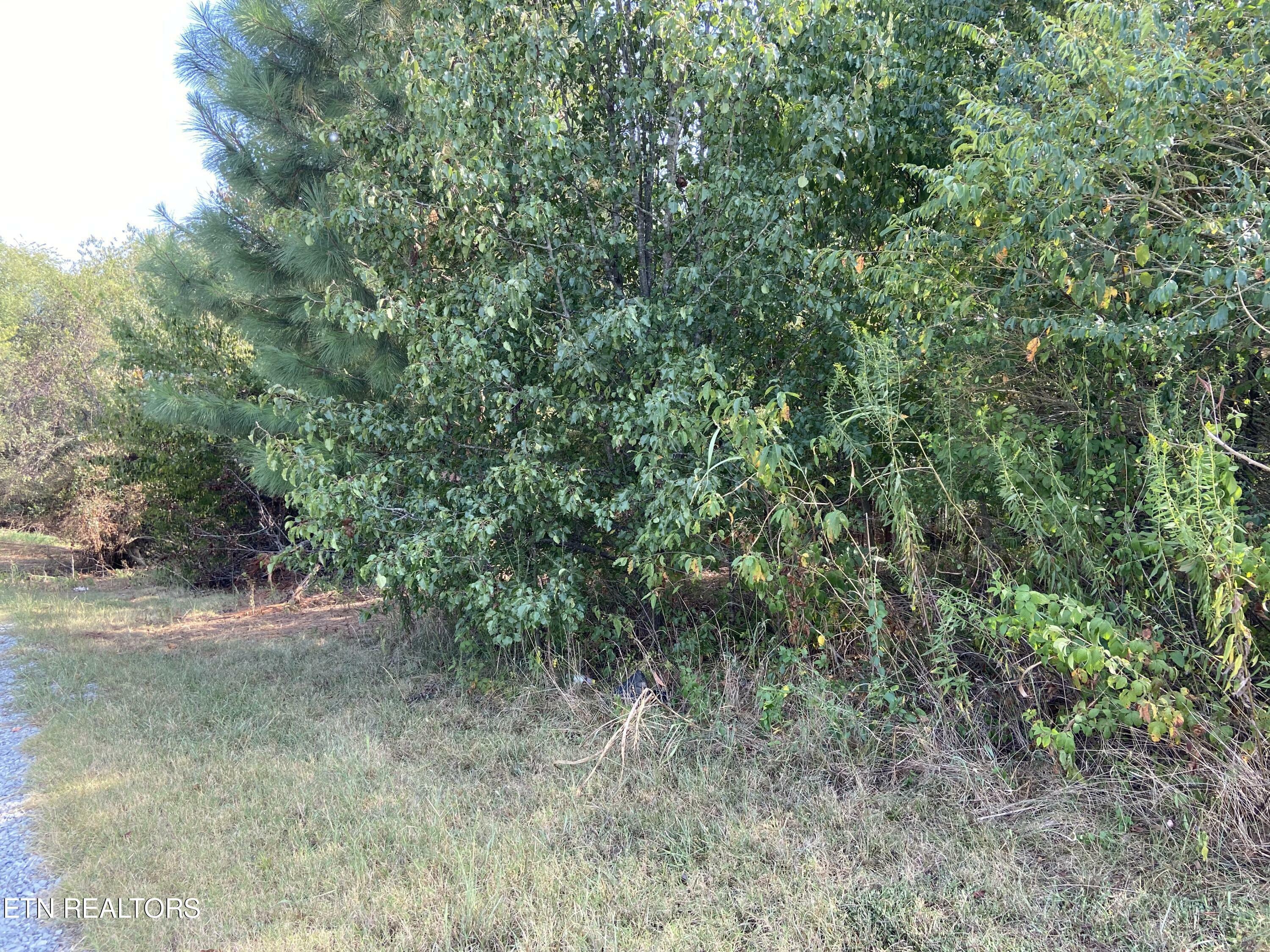 Property Photo:  0 Tuckaleechee Pike  TN 37804 