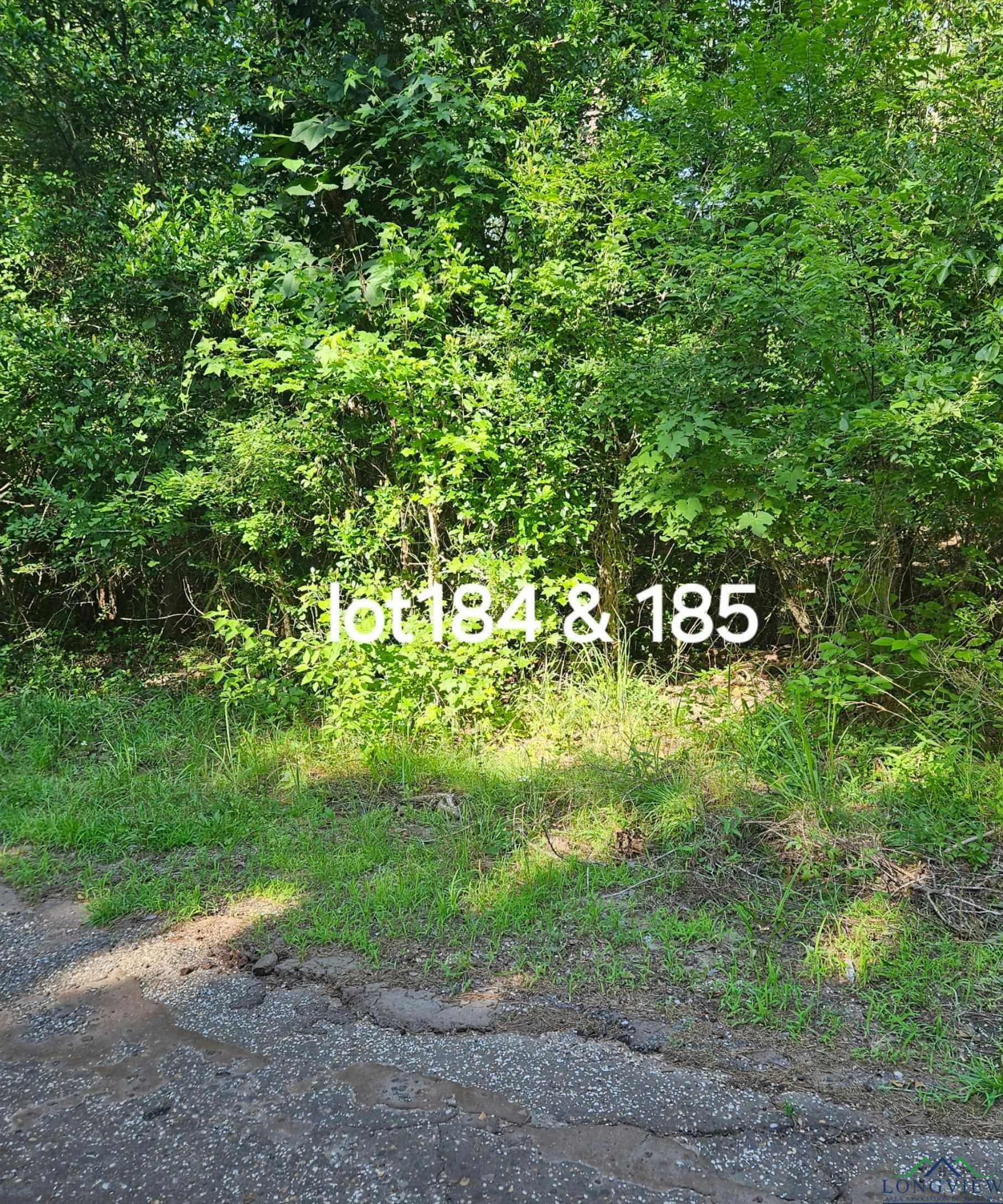 Balboa  Jefferson TX 75657 photo
