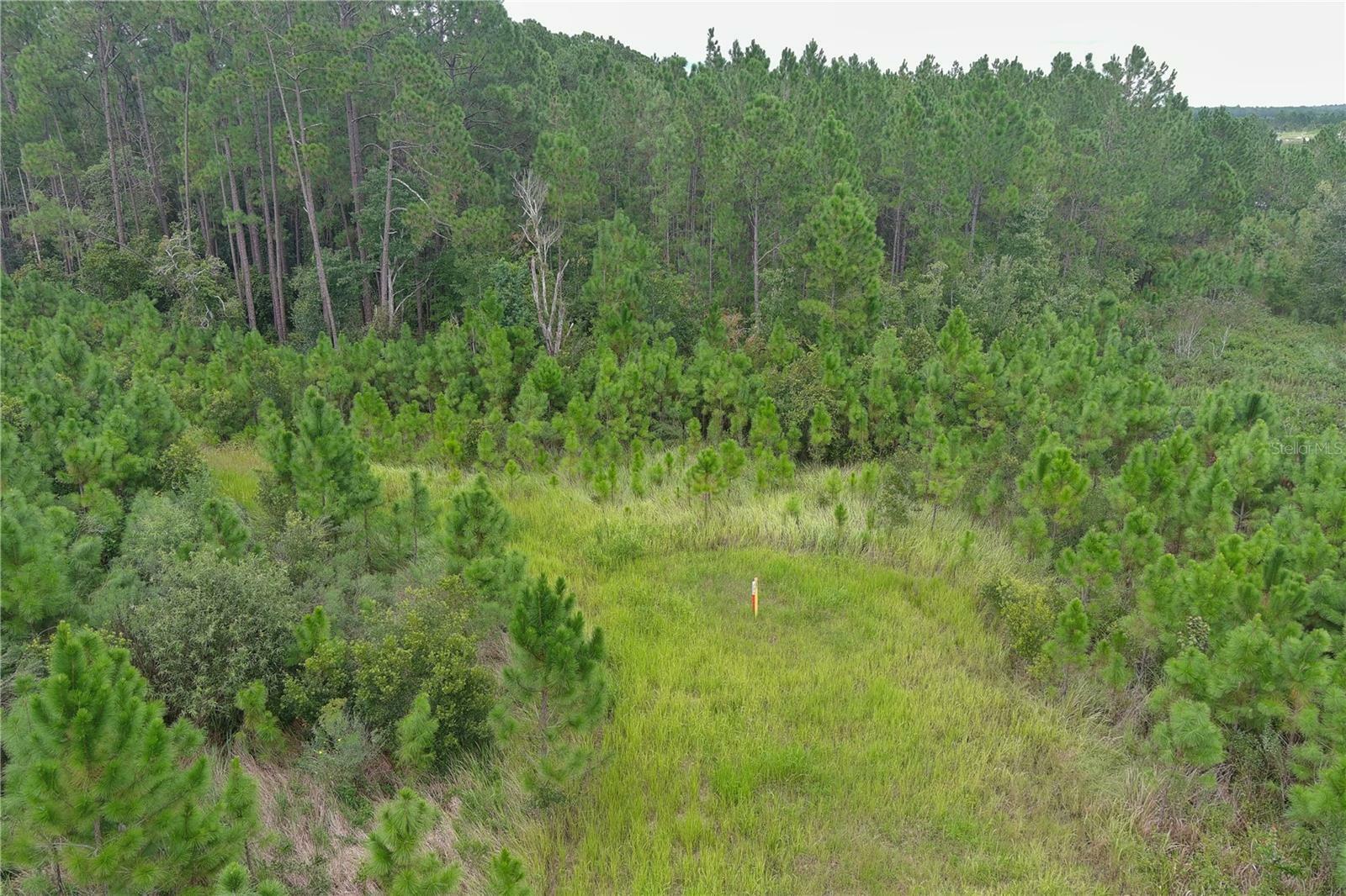 Property Photo:  Hwy 474  FL 34711 