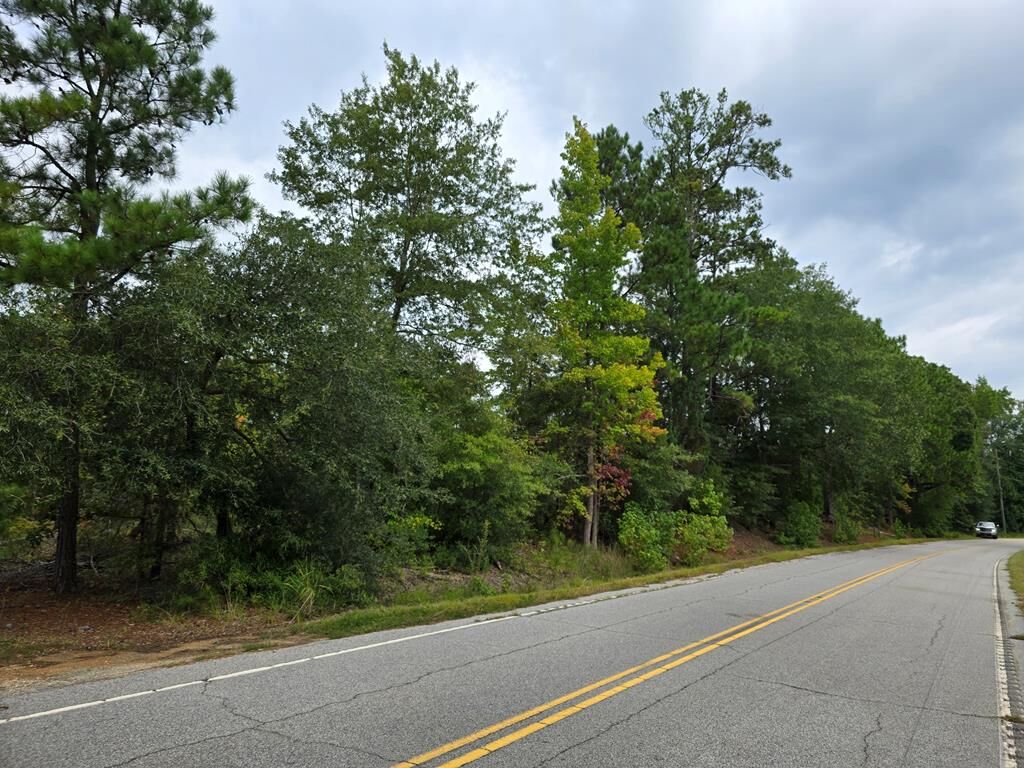 Property Photo:  Central School Rd  SC 29128 