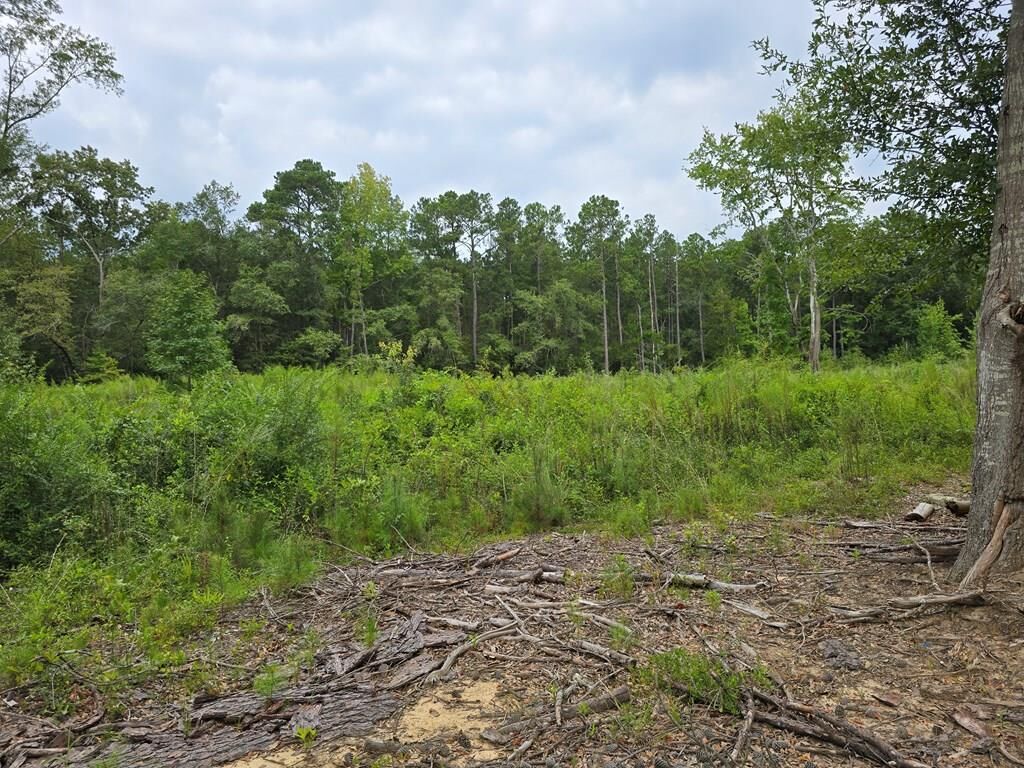 Property Photo:  Central School Rd  SC 29128 
