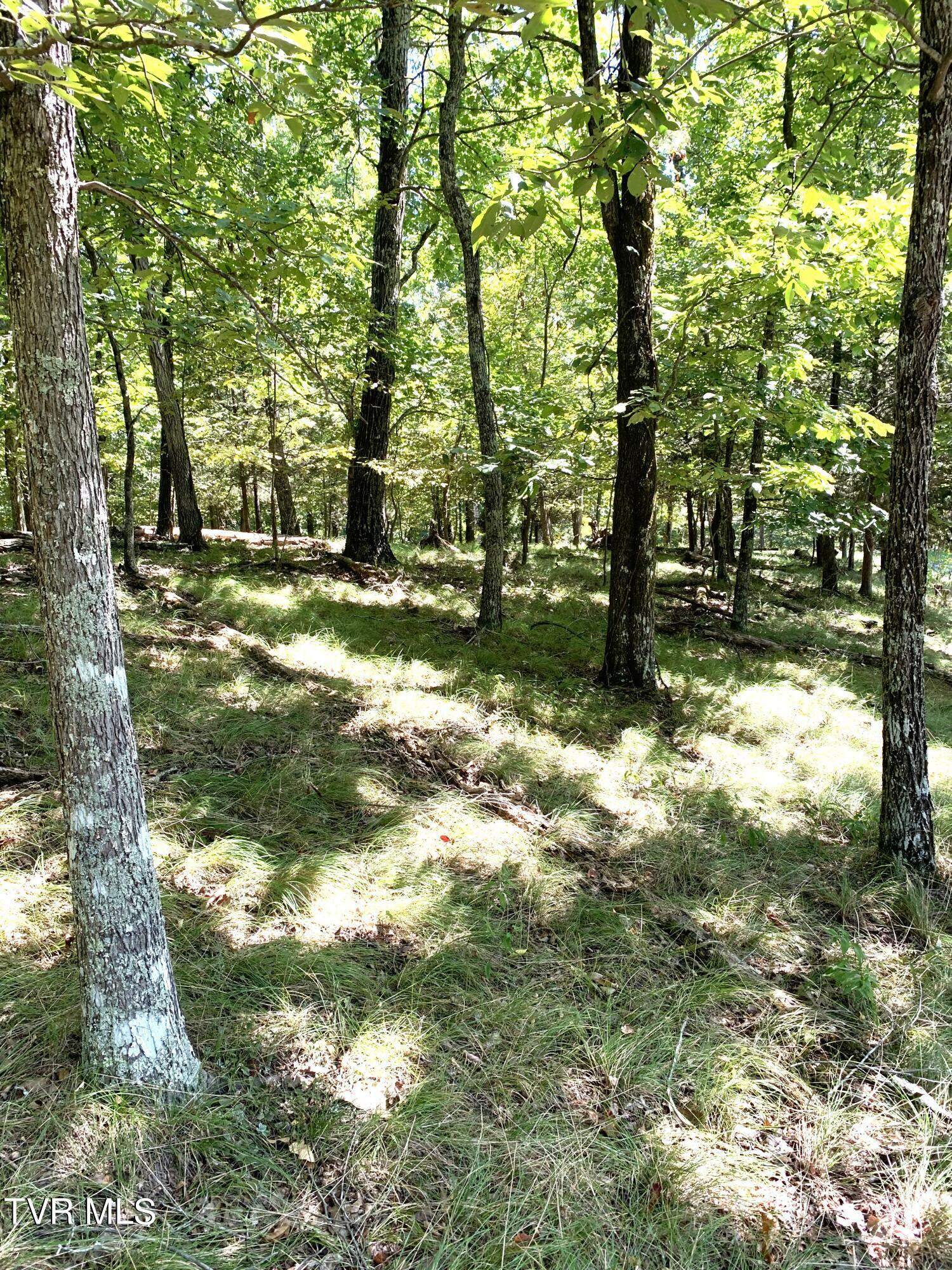 Property Photo:  1433/1437 Echota Lane  TN 37811 