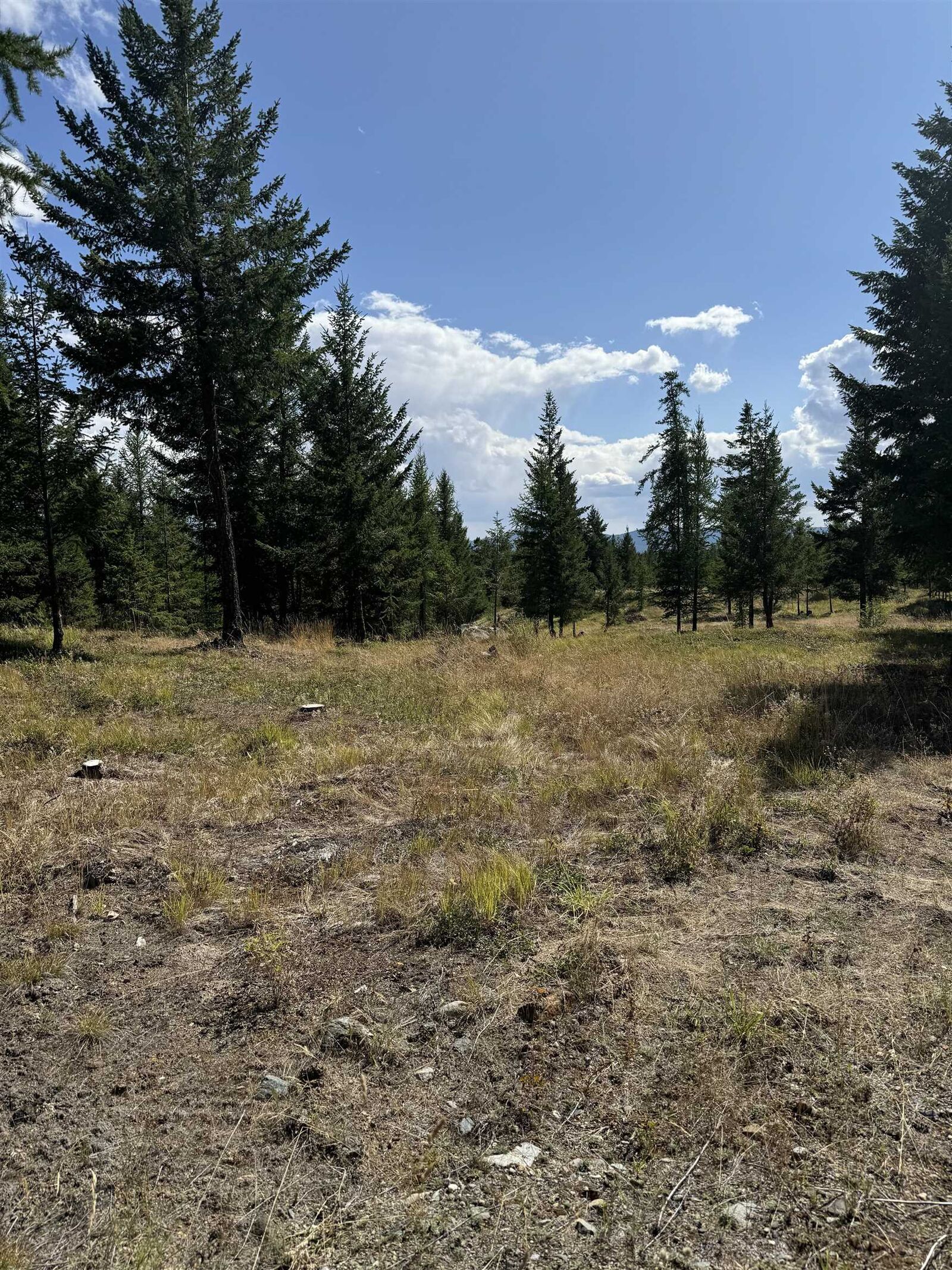 Property Photo: 891 Raven Hill Road BC V3H 1V6