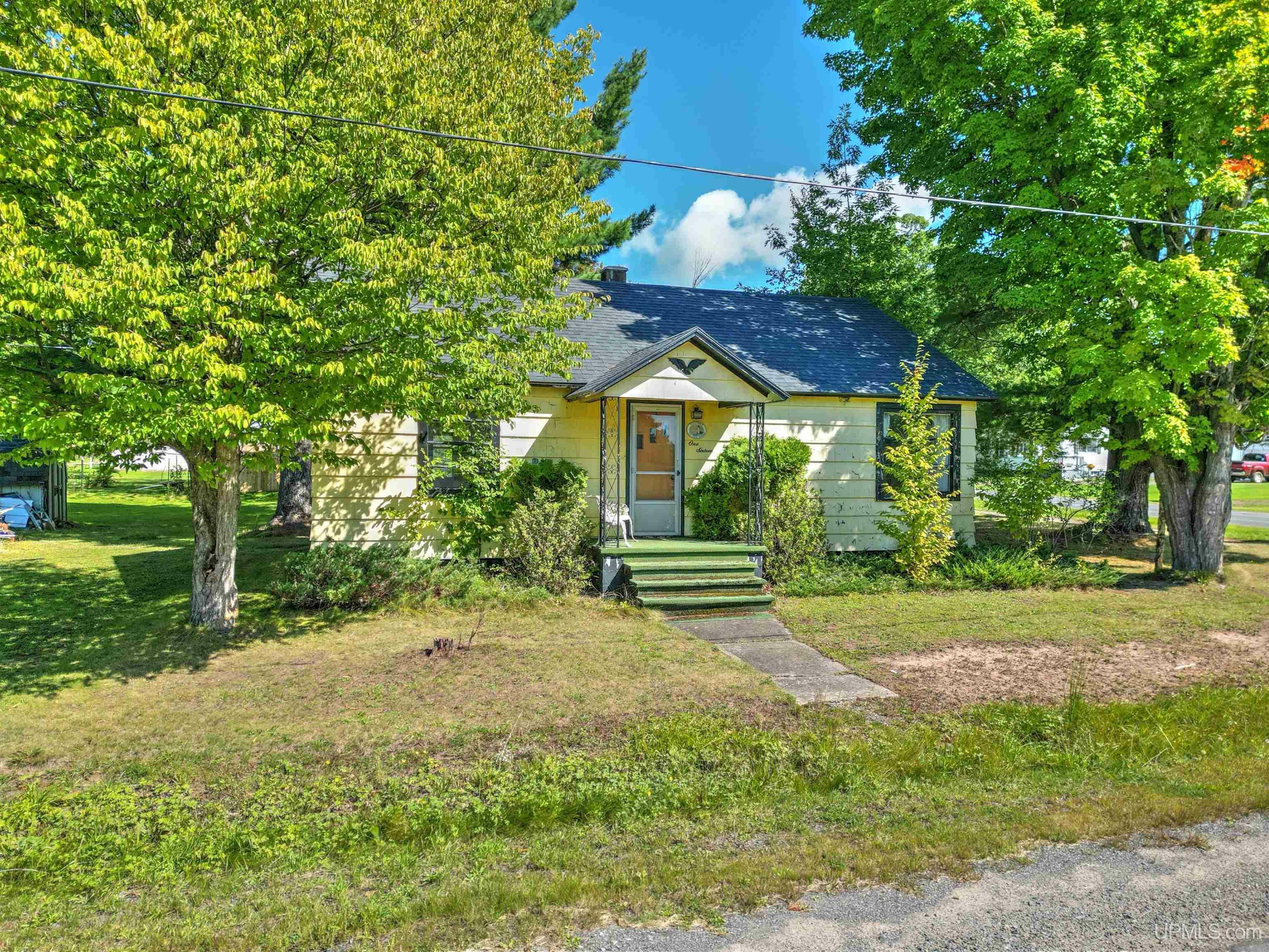 Property Photo: 116 Ford Avenue MI 49946