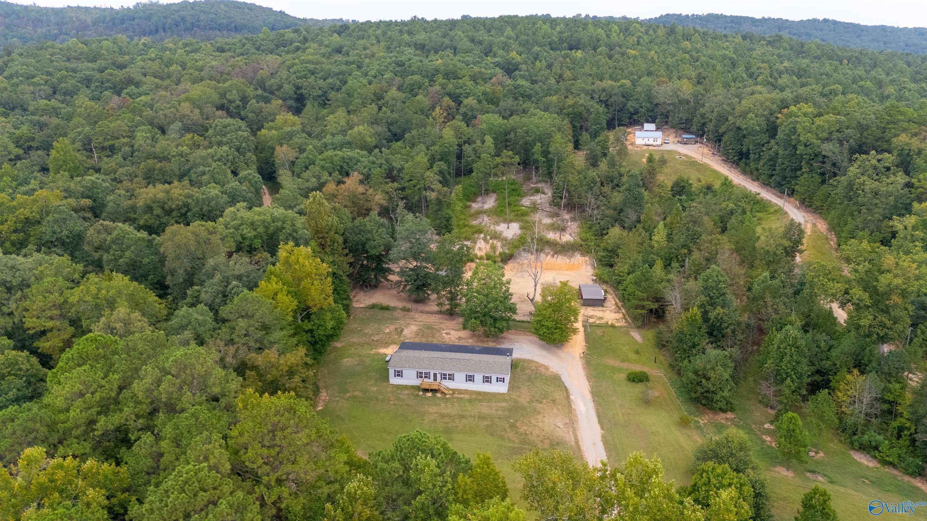 1014 Carnes Chapel Road  Attalla AL 35954 photo