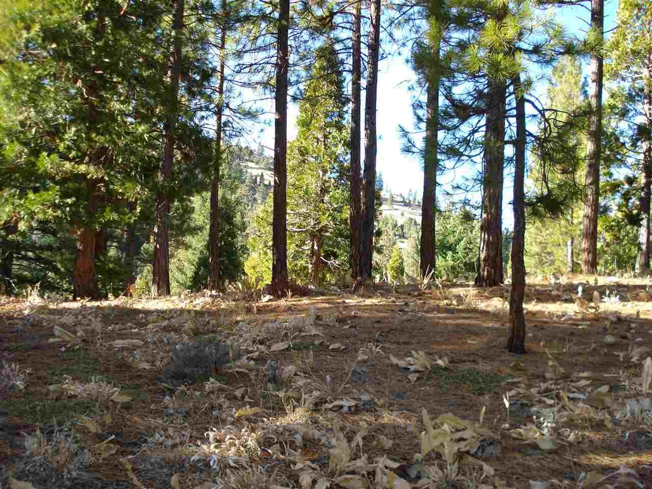 Property Photo: 369 Big Grizzly CA 96122