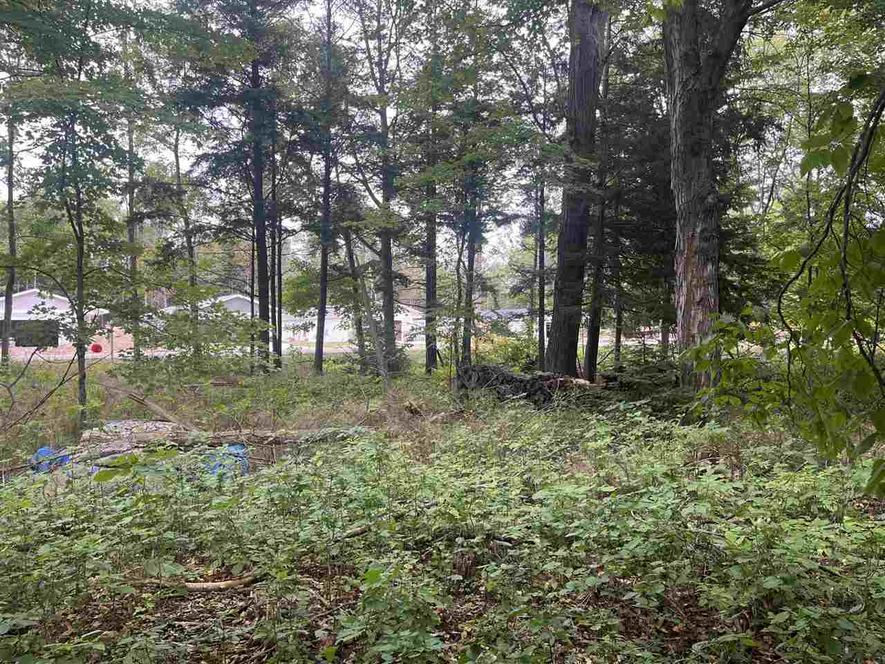 Property Photo:  Boyne City  MI 49720 