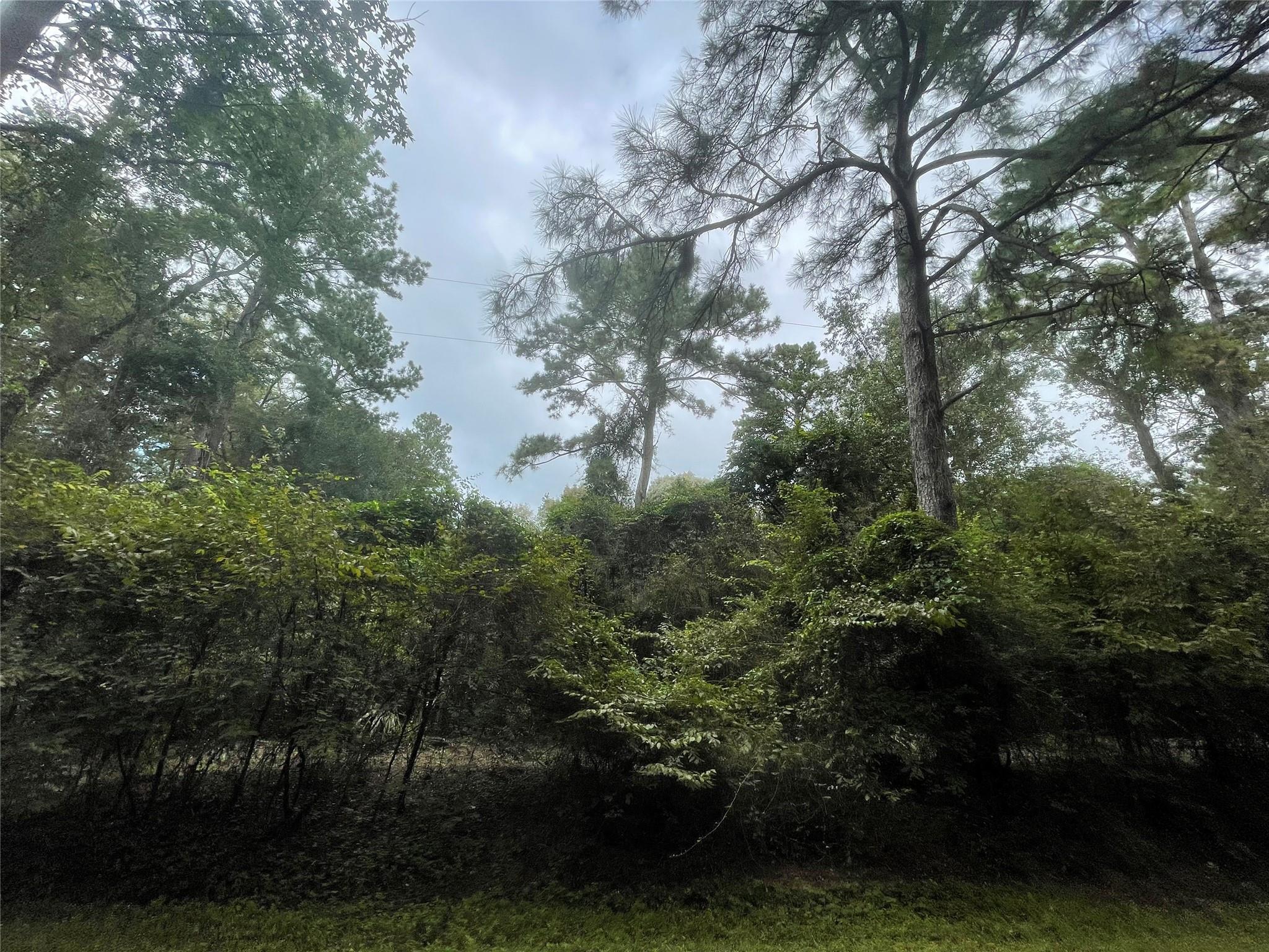Property Photo: 0 Corolla Road TX 77354