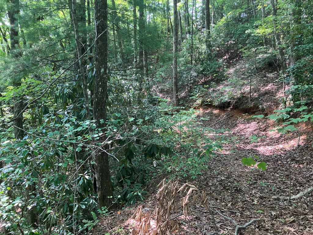 Property Photo:  5.8 Copper Creek Rd  NC 28906 