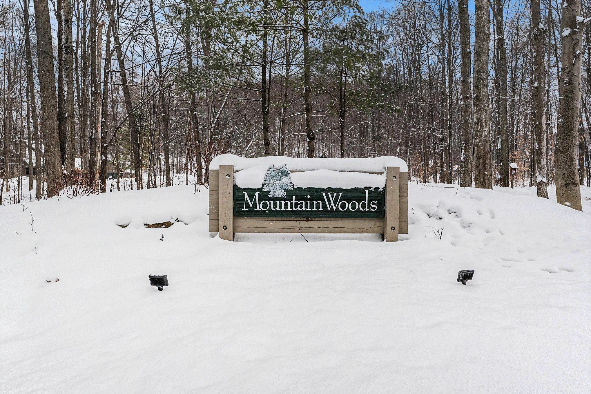 Property Photo:  Lot 12 Mountain Woods Drive  MI 49683 