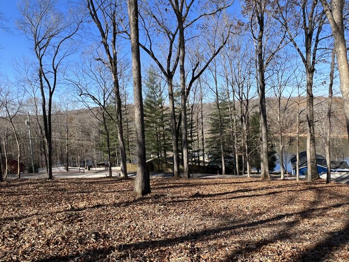 559 Hickman Shores Rd  Dover TN 37058 photo