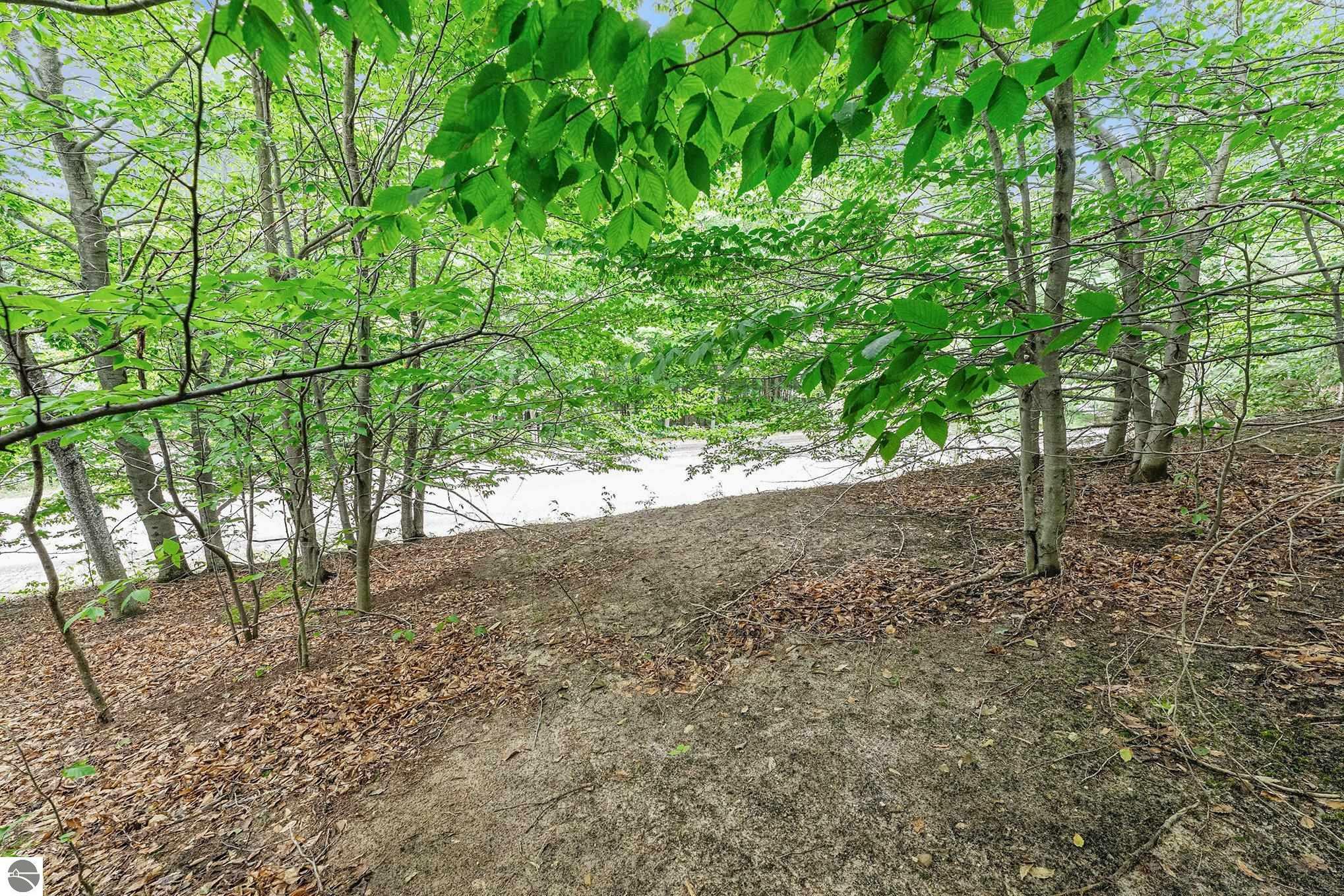 Property Photo:  Lot 12 Mountain Woods Drive  MI 49683 