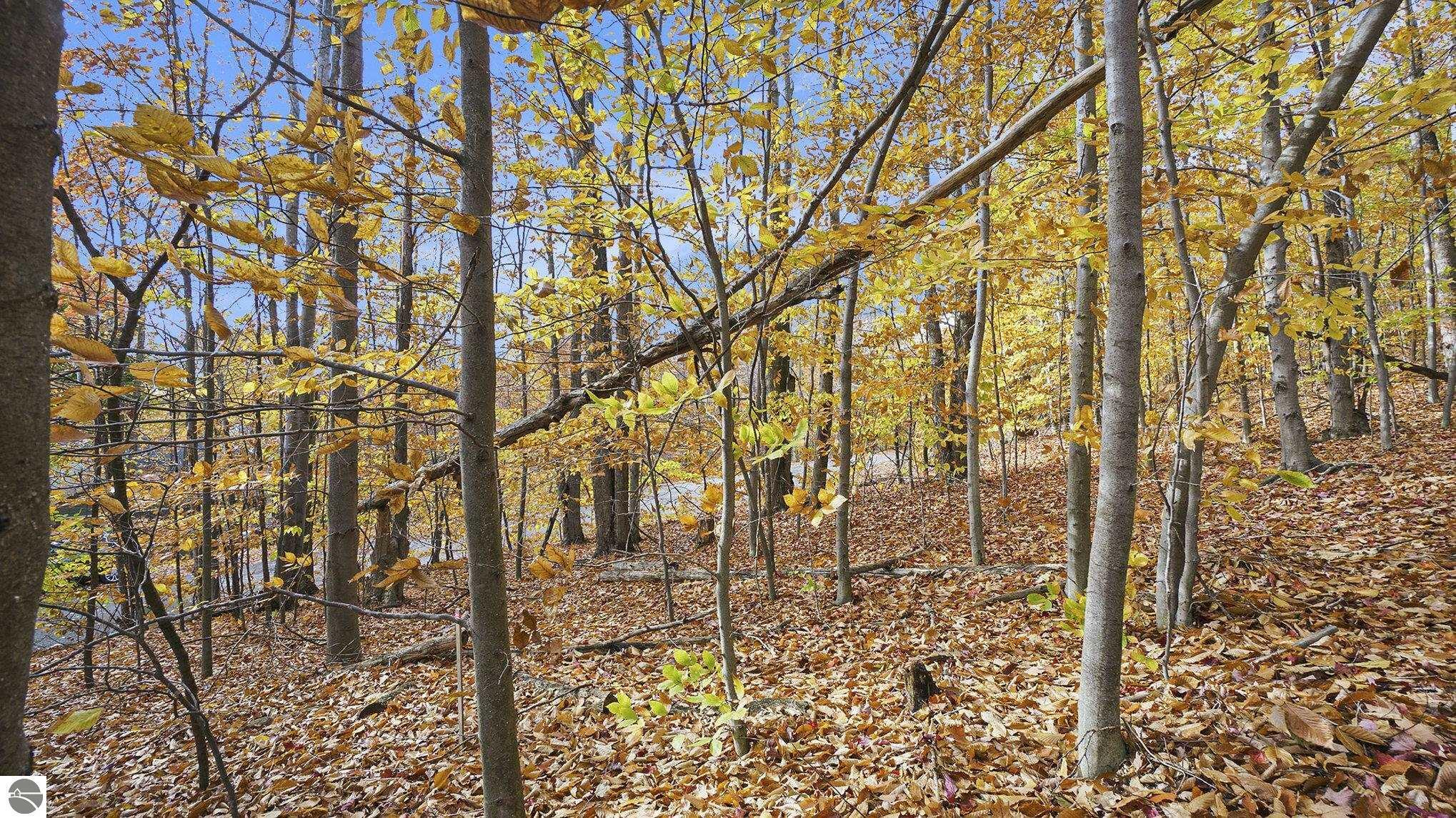 Property Photo:  Lot 12 Mountain Woods Drive  MI 49683 