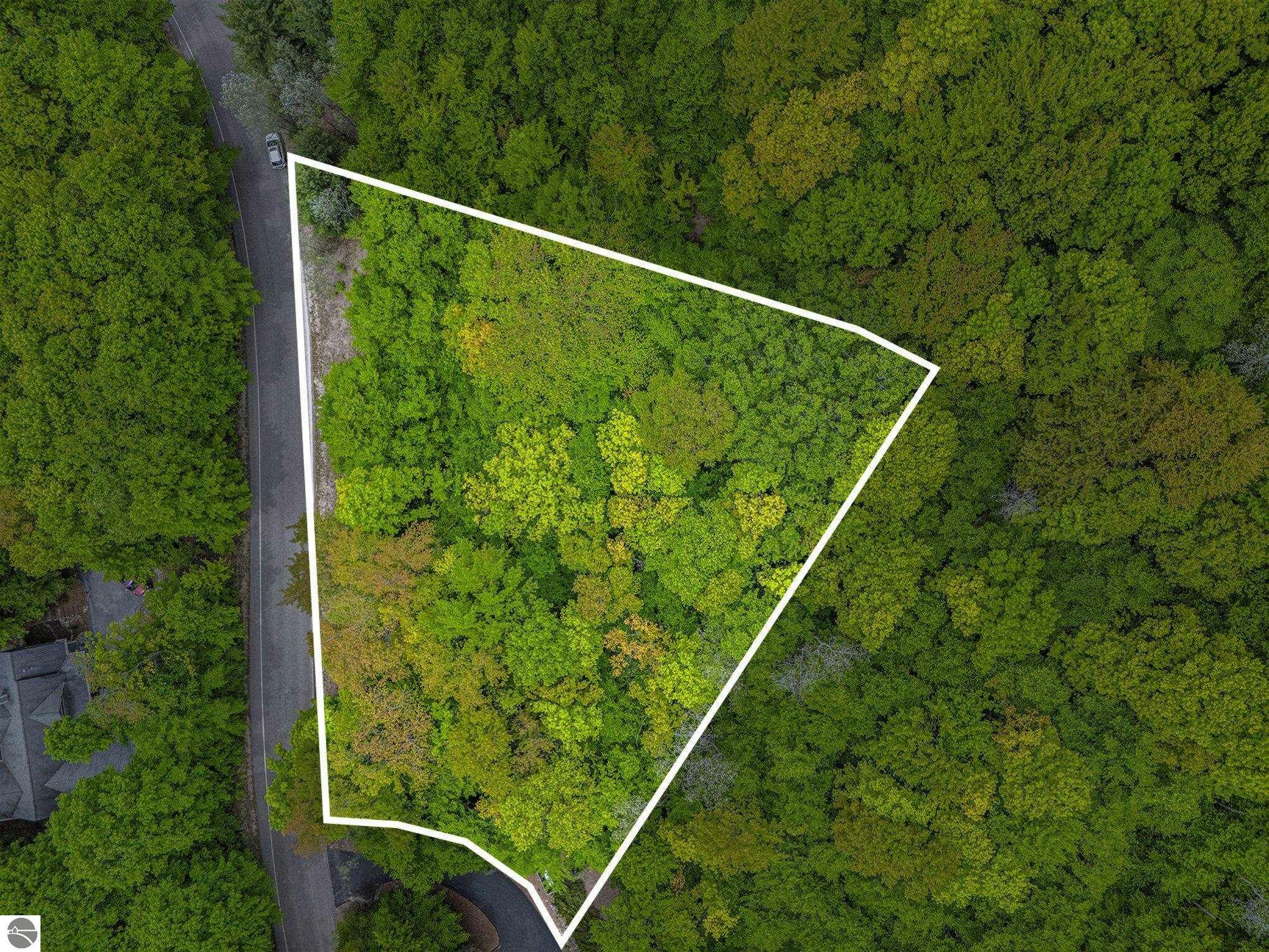 Property Photo: Lot 12 Mountain Woods Drive MI 49683