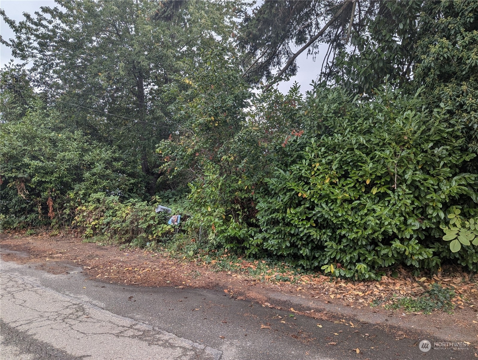 Property Photo: 3711 W D Street WA 98312