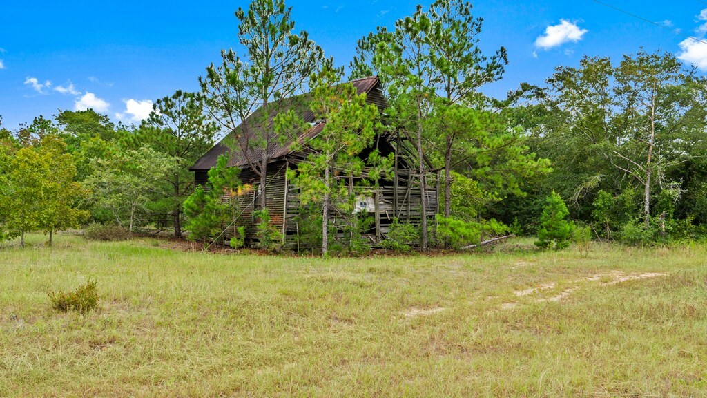 Property Photo:  0 Liberty Road  GA 31058 