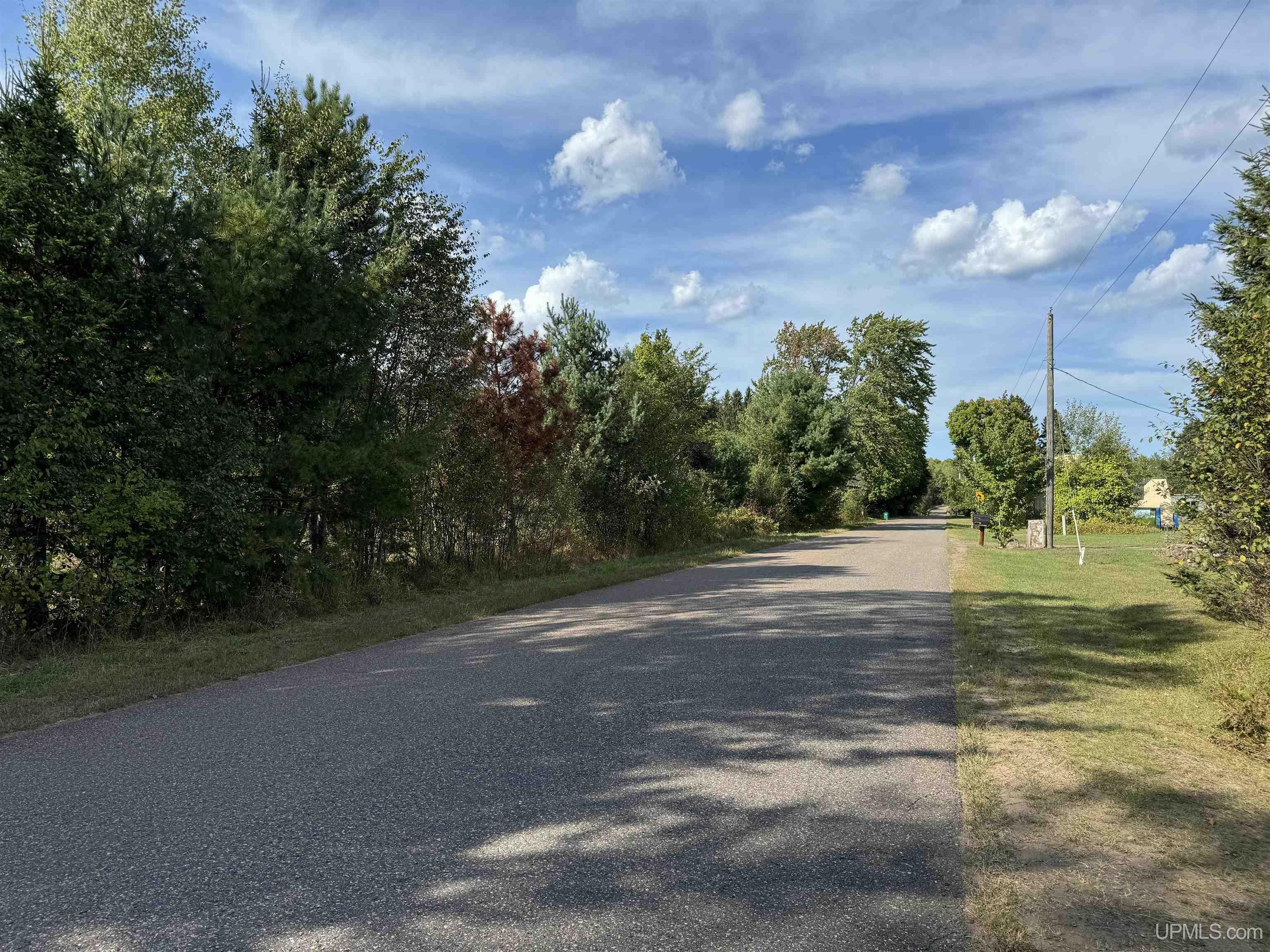 Property Photo:  816 Mangum Road  MI 49855 