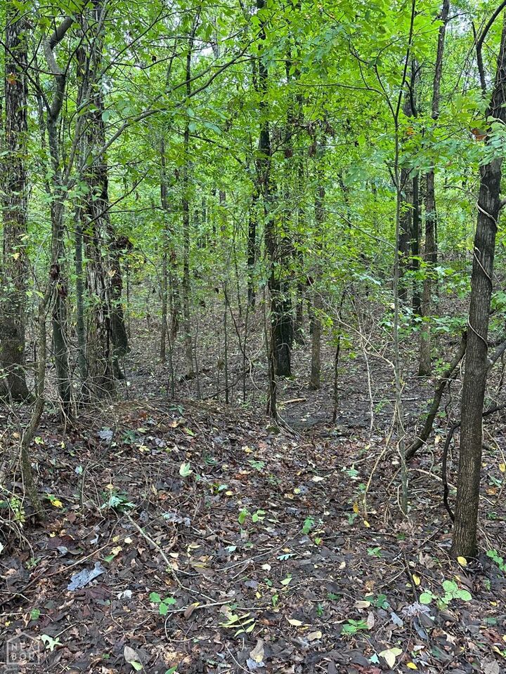 6 Block B Mardis  Jonesboro AR 72404 photo