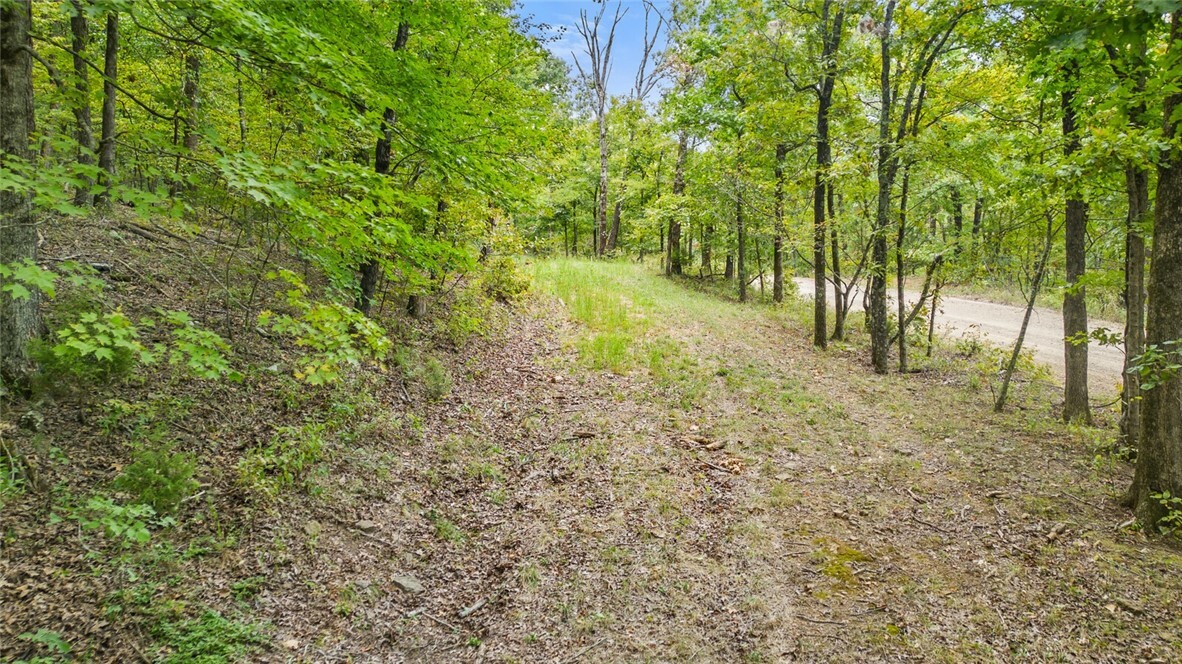 Property Photo:  Mast Rd Hazel Valley  AR 72701 