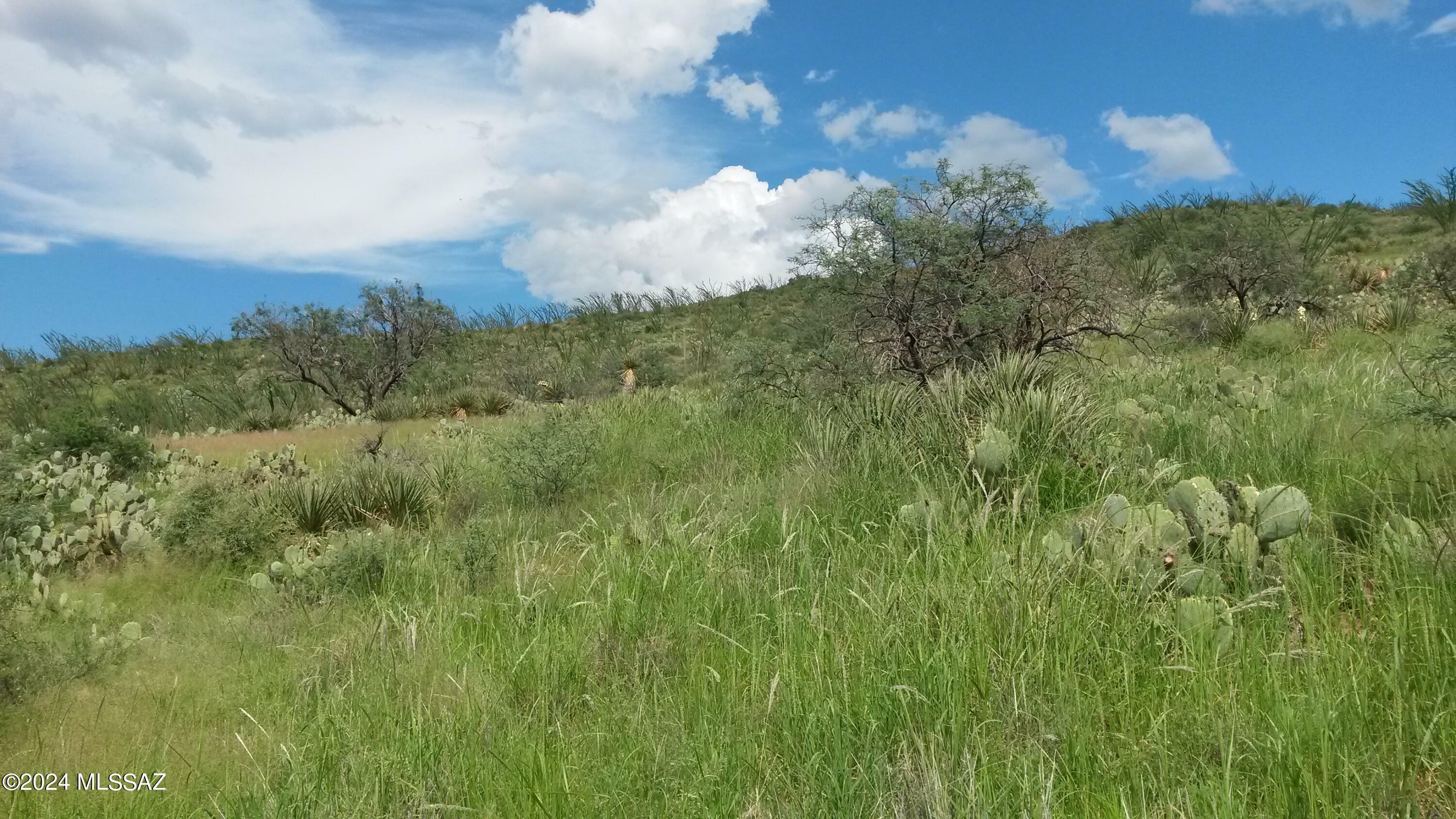 Property Photo:  S Goodenough Trail Lot 2  AZ 85641 