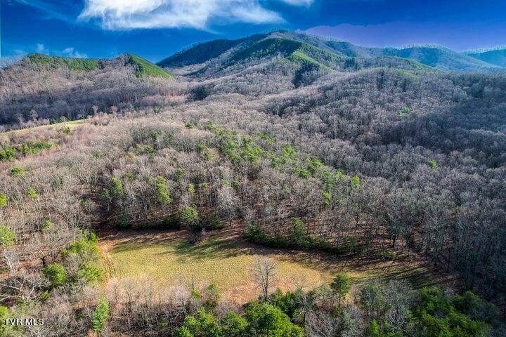 20 Acres Perry Davis Road  Greeneville TN 37743 photo