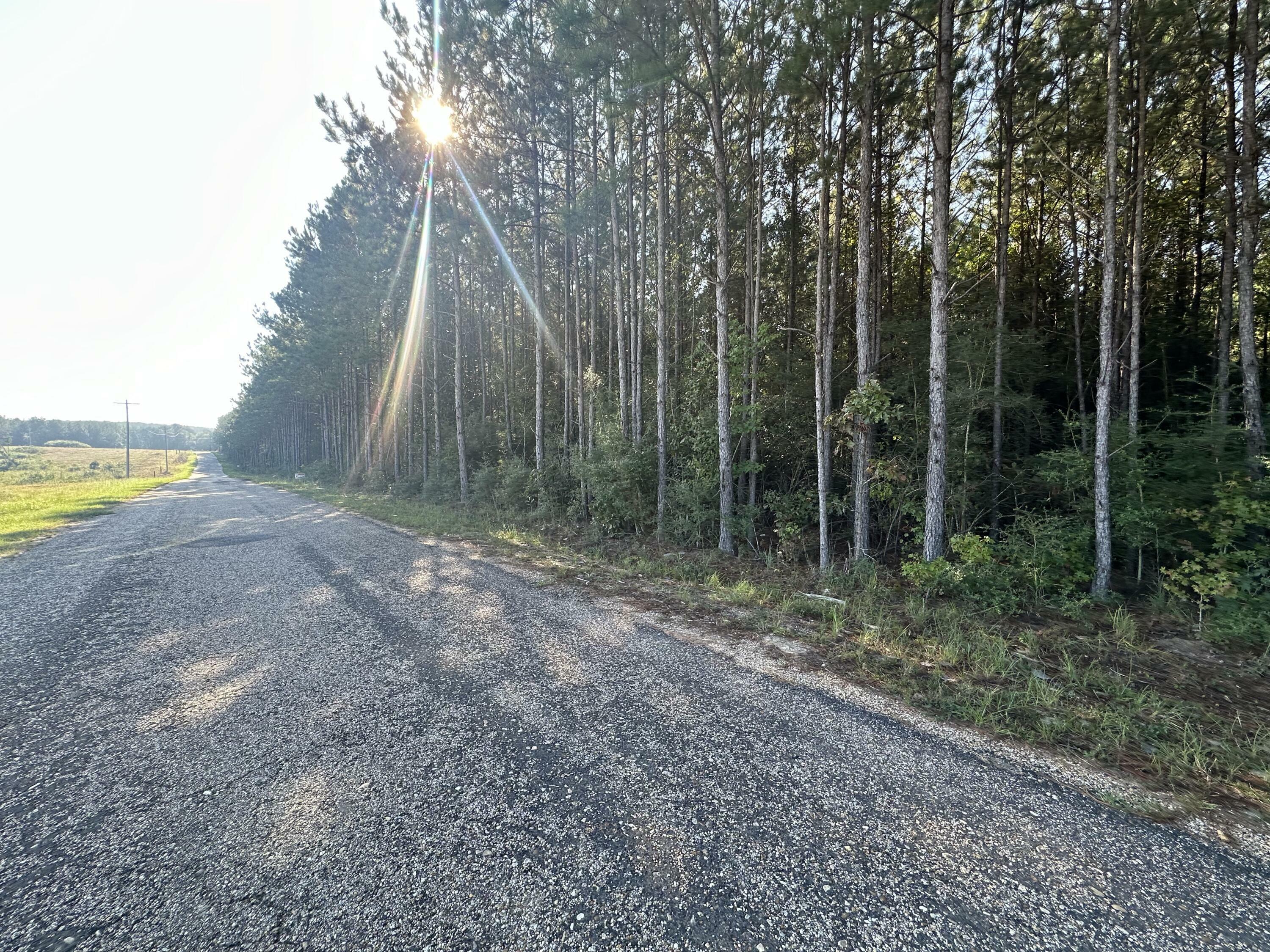 Property Photo: 0 Miller Rd. MS 39421