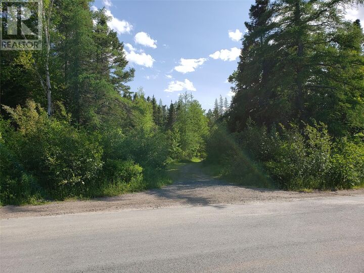 35-2 Angle Brook Road  Glovertown NL A0G 2C0 photo