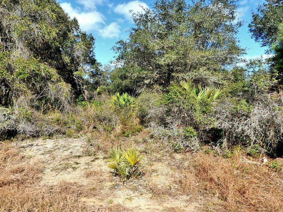 Property Photo: Hammock Lane FL 34288