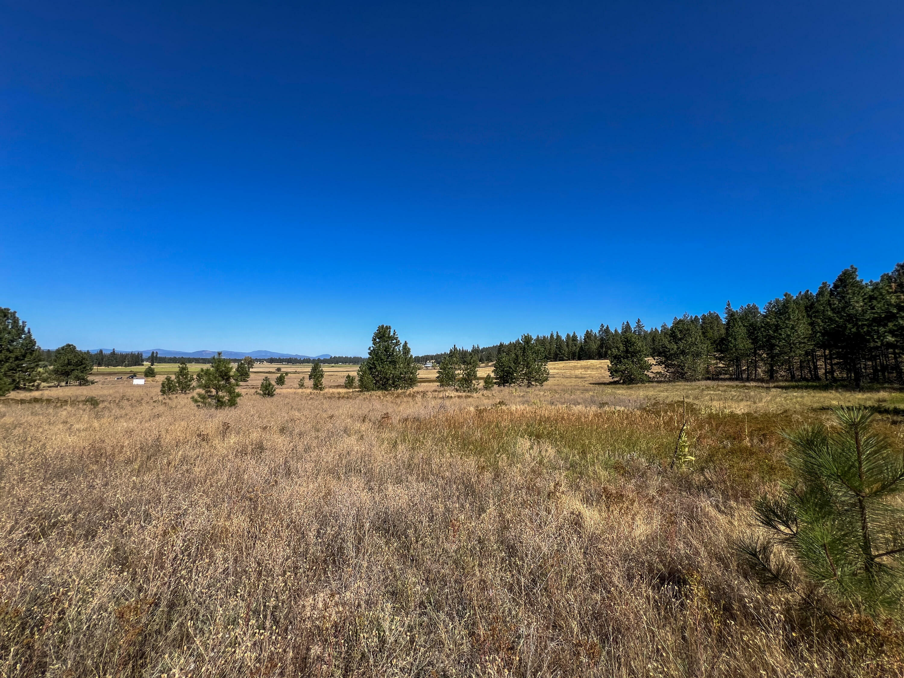 52xx Lot 2 S Swenson Rd  Deer Park WA 99006 photo