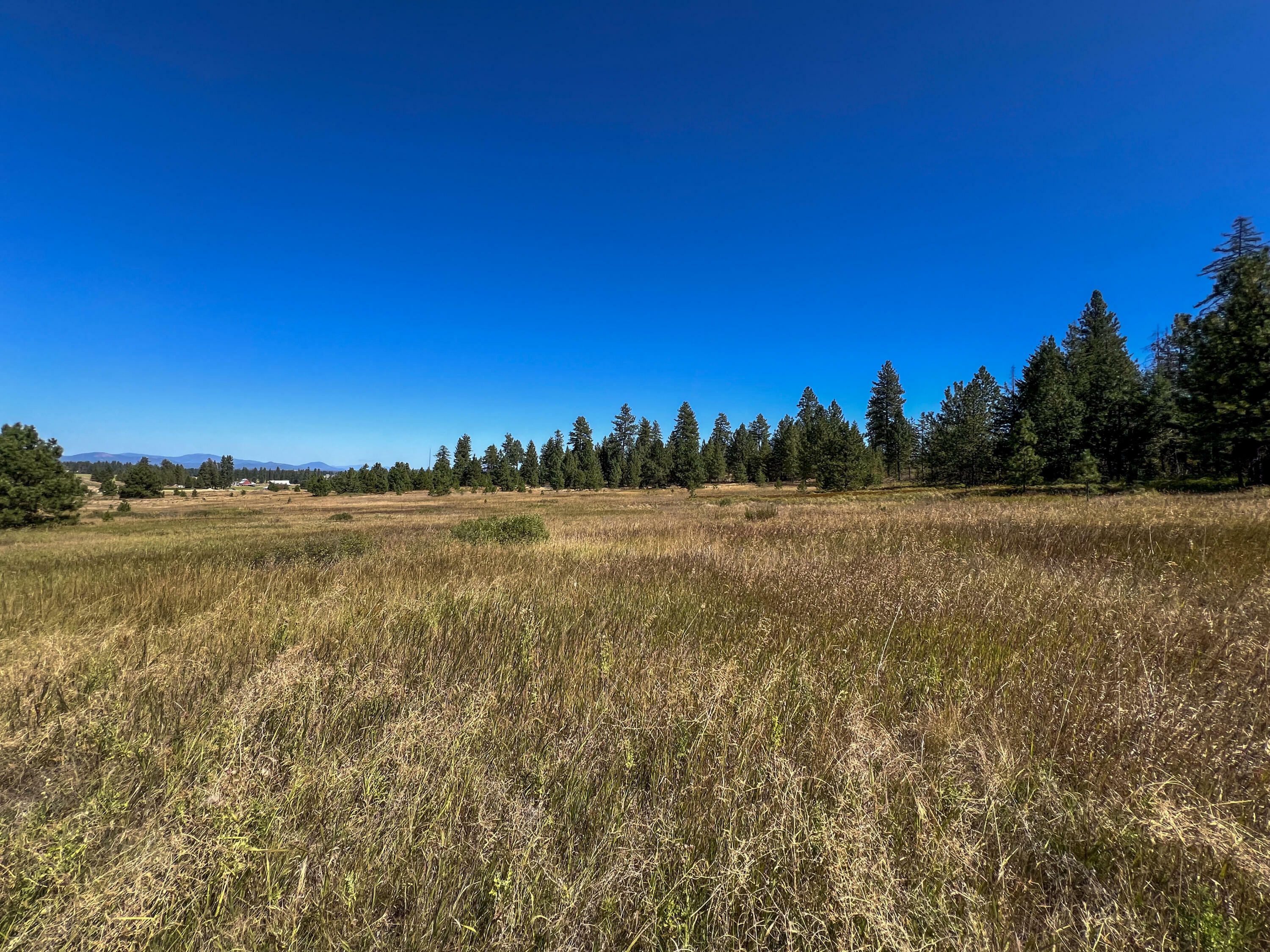 52xx Lot 4 S Swenson Rd  Deer Park WA 99006 photo