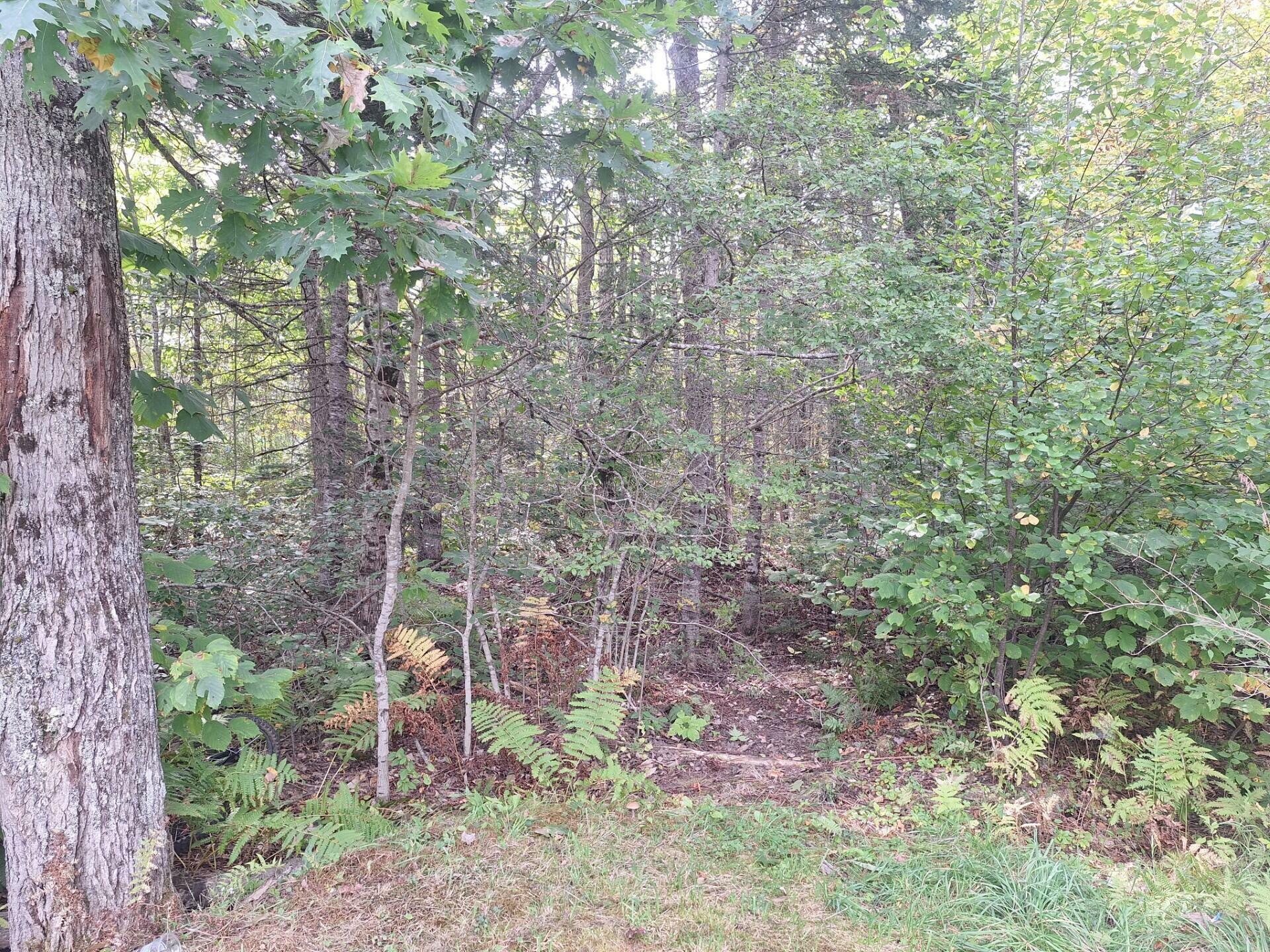 Property Photo:  3/Pt12 Lincolnville Road  ME 04952 