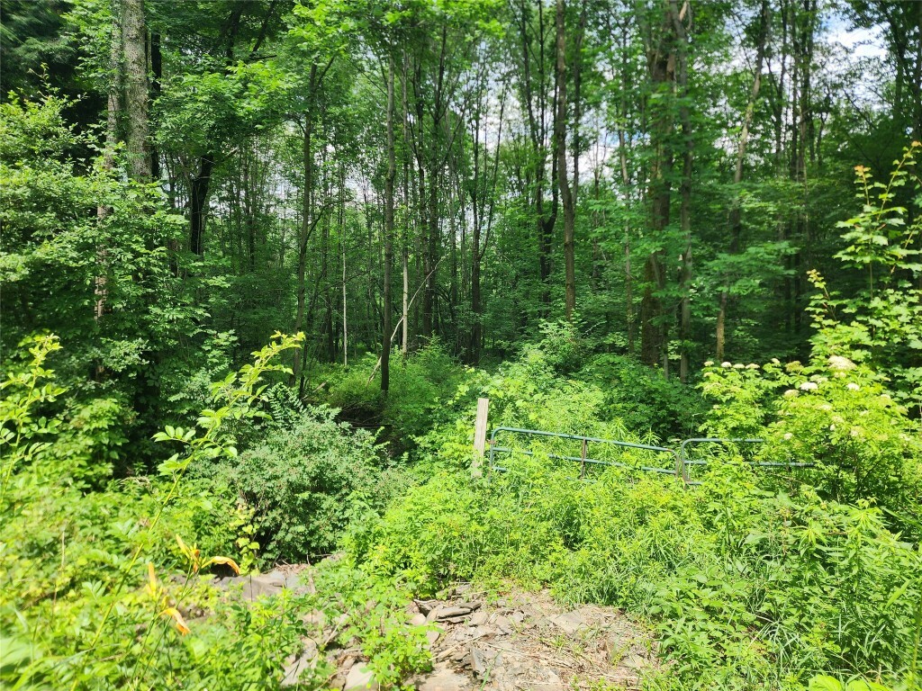 Property Photo:  0 North End Road  NY 13040 