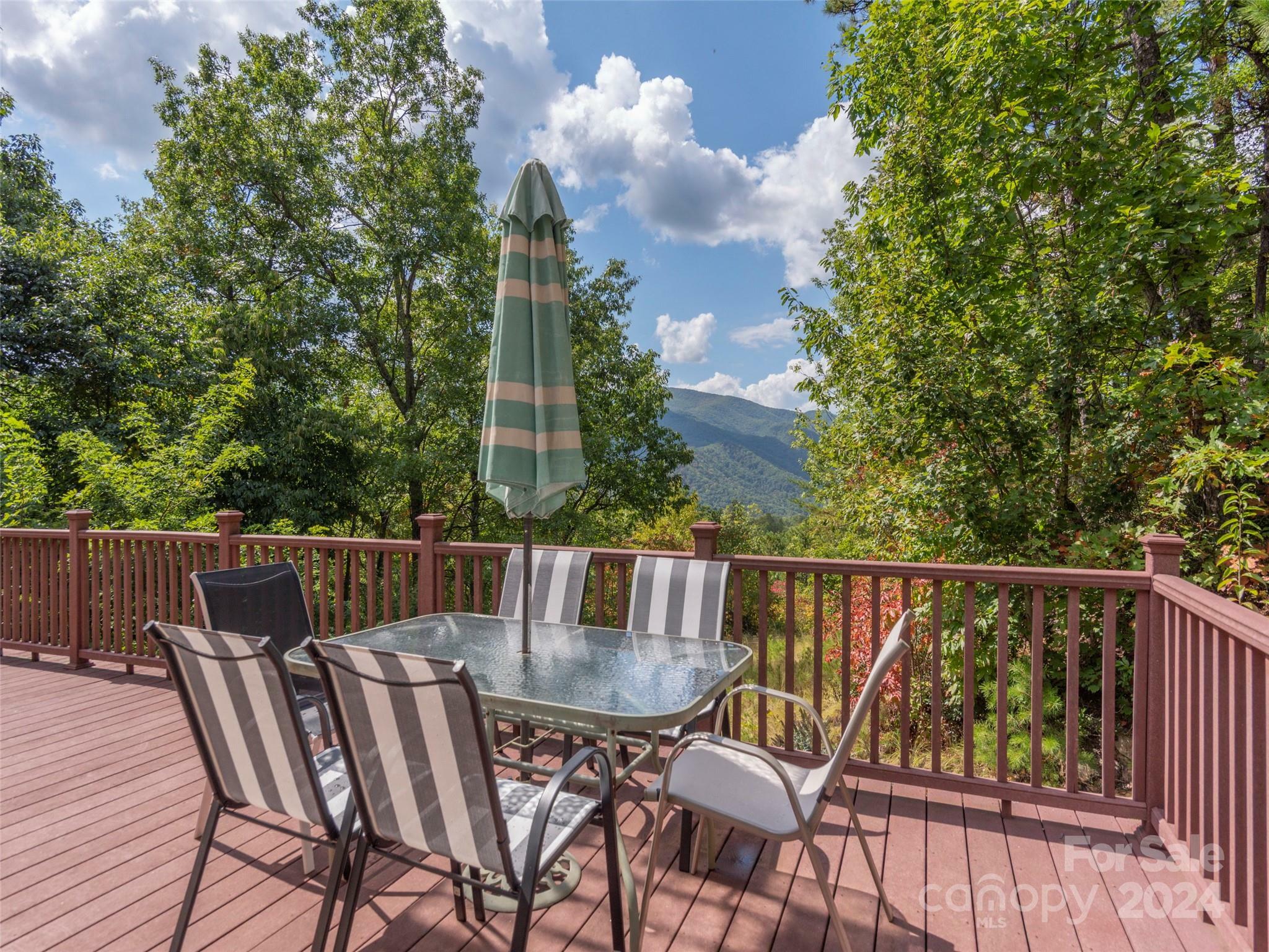 Property Photo:  1159 Mount Chalet Road  NC 28716 