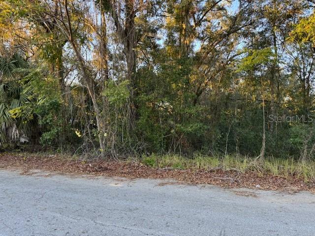 Property Photo:  10689 SE 130th Lane  FL 32179 