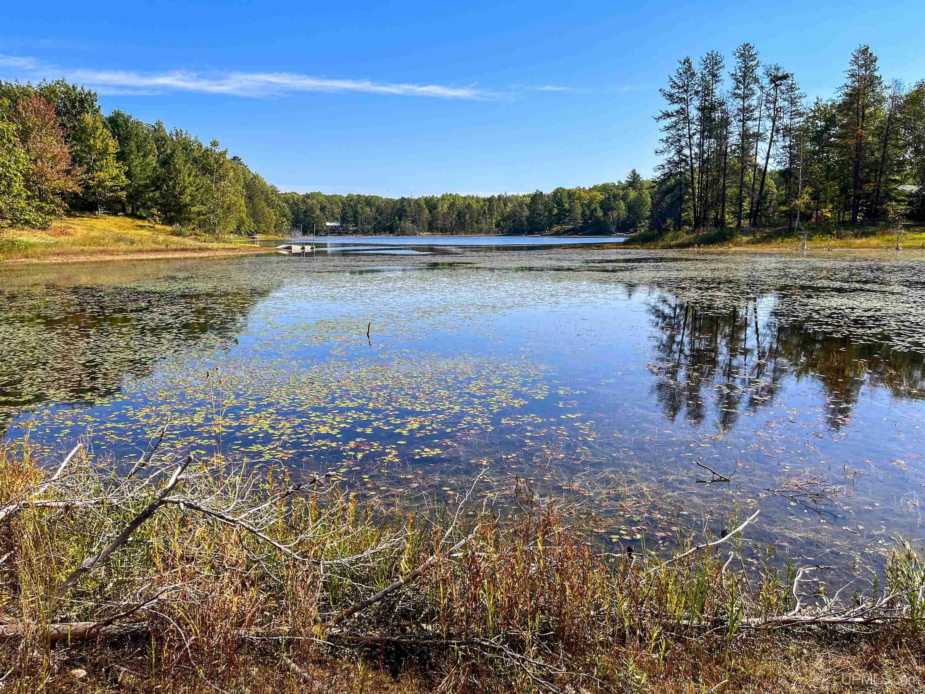 Property Photo:  Tbd E Martin Lake Road  MI 49885 