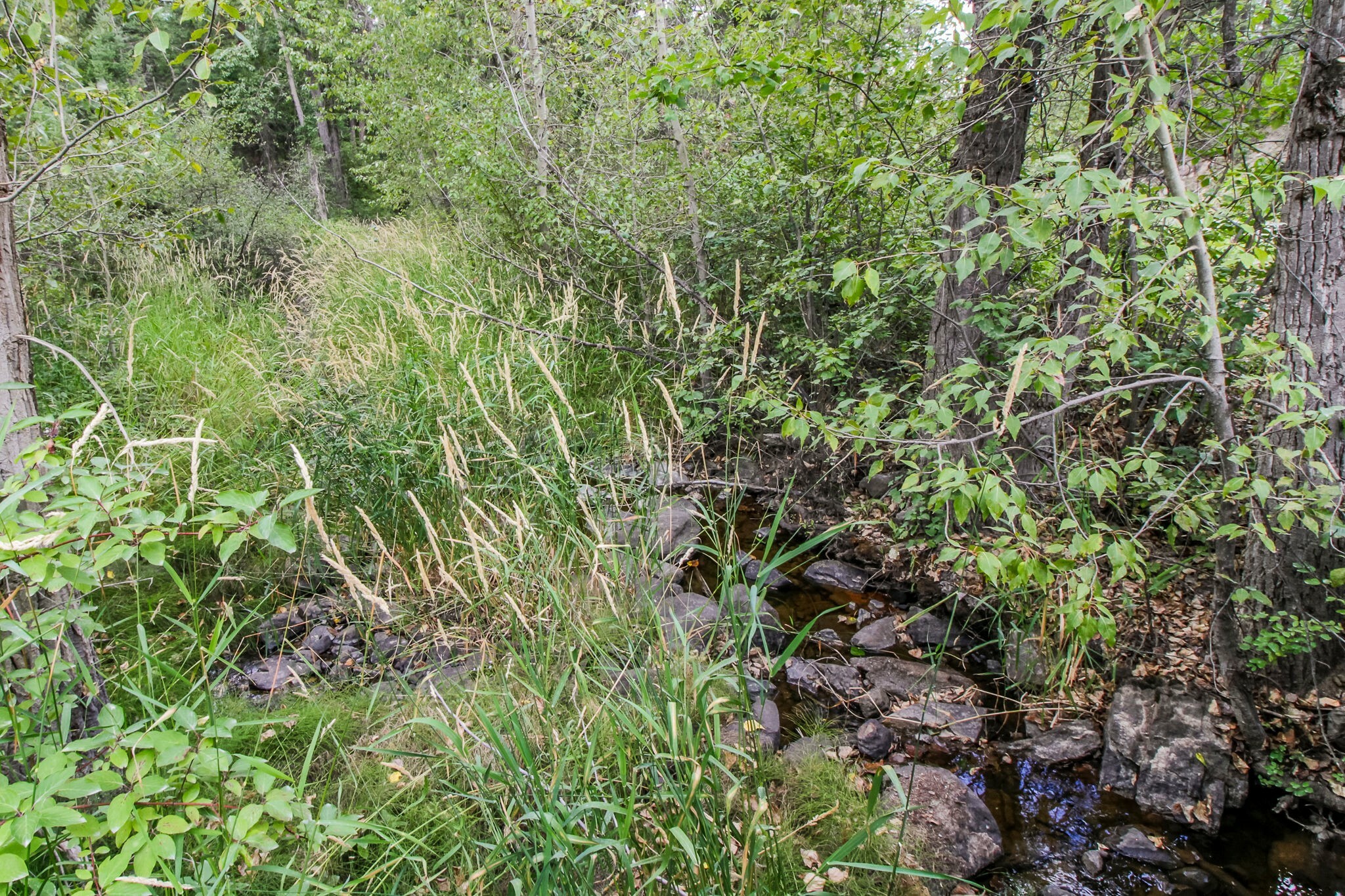 Property Photo:  499 Haskill Ranch Road  MT 59920 