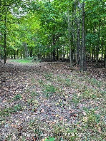 Property Photo:  1950 Bolock Highway  MI 48813 