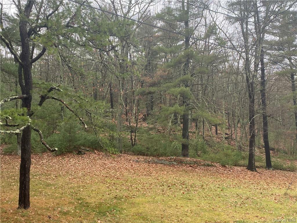 Property Photo:  Diane Drive  NY 12428 