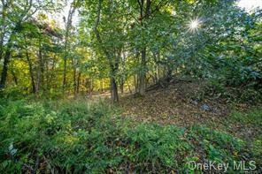 Property Photo:  6 Lookout Terrace  NY 10918 