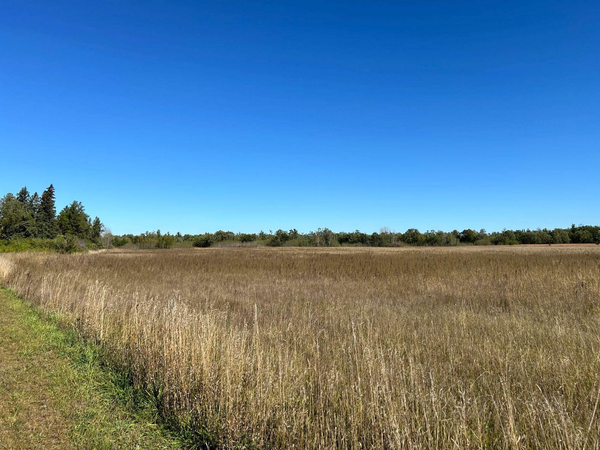 Property Photo: Tbd Co 26 MN 56575