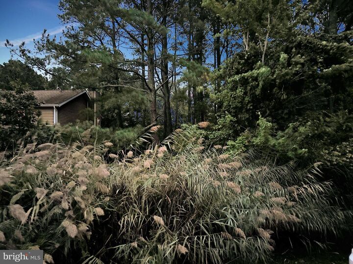 Property Photo: 21 Alden Court MD 21811